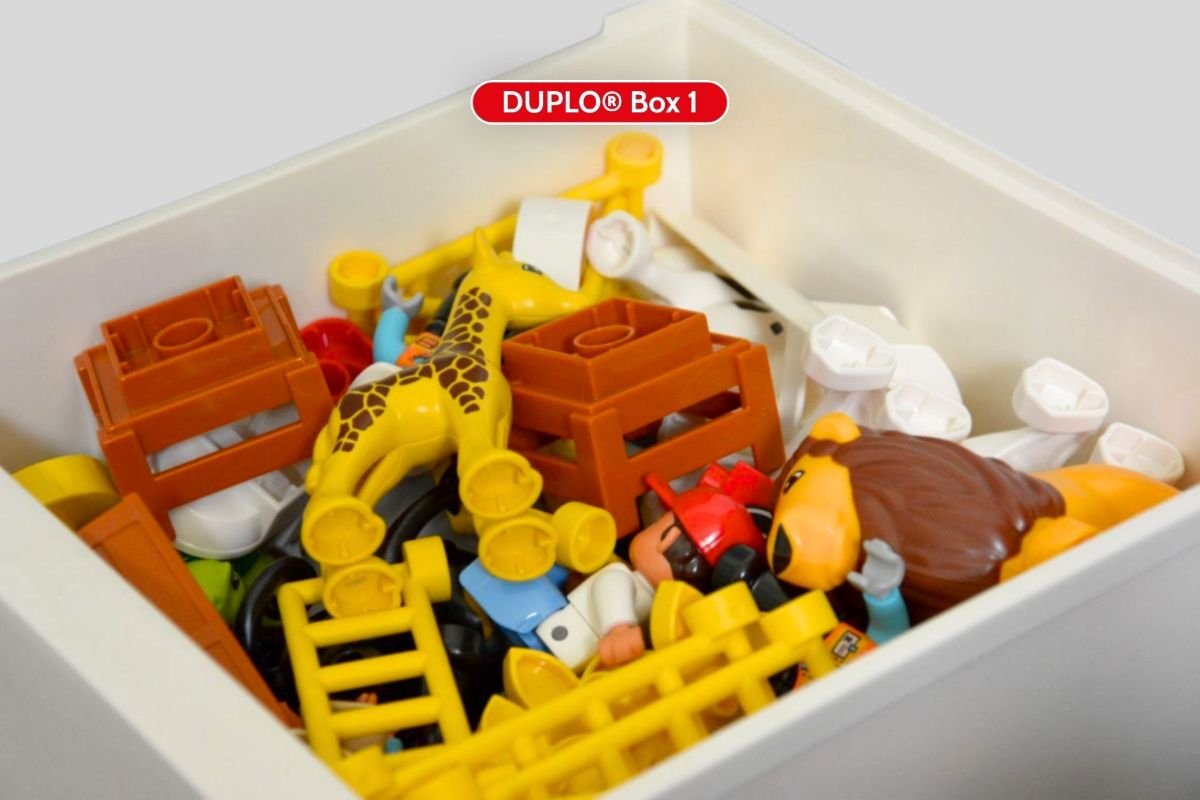 LEGO DUPLO® Elemente des Identity & Landscape Sets – DUPLO Box 1