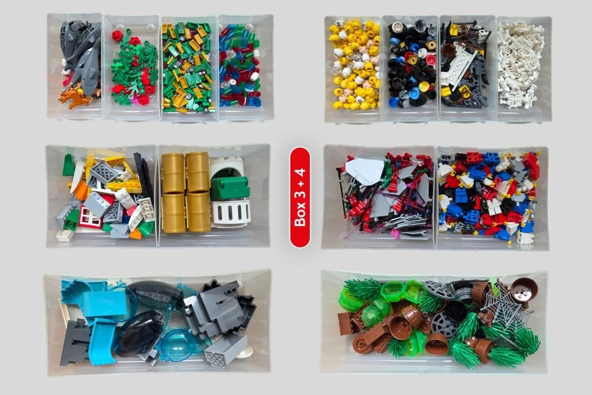 Sortierte LEGO® Elemente im Identity & Landscape Set – Box 3 und 4
