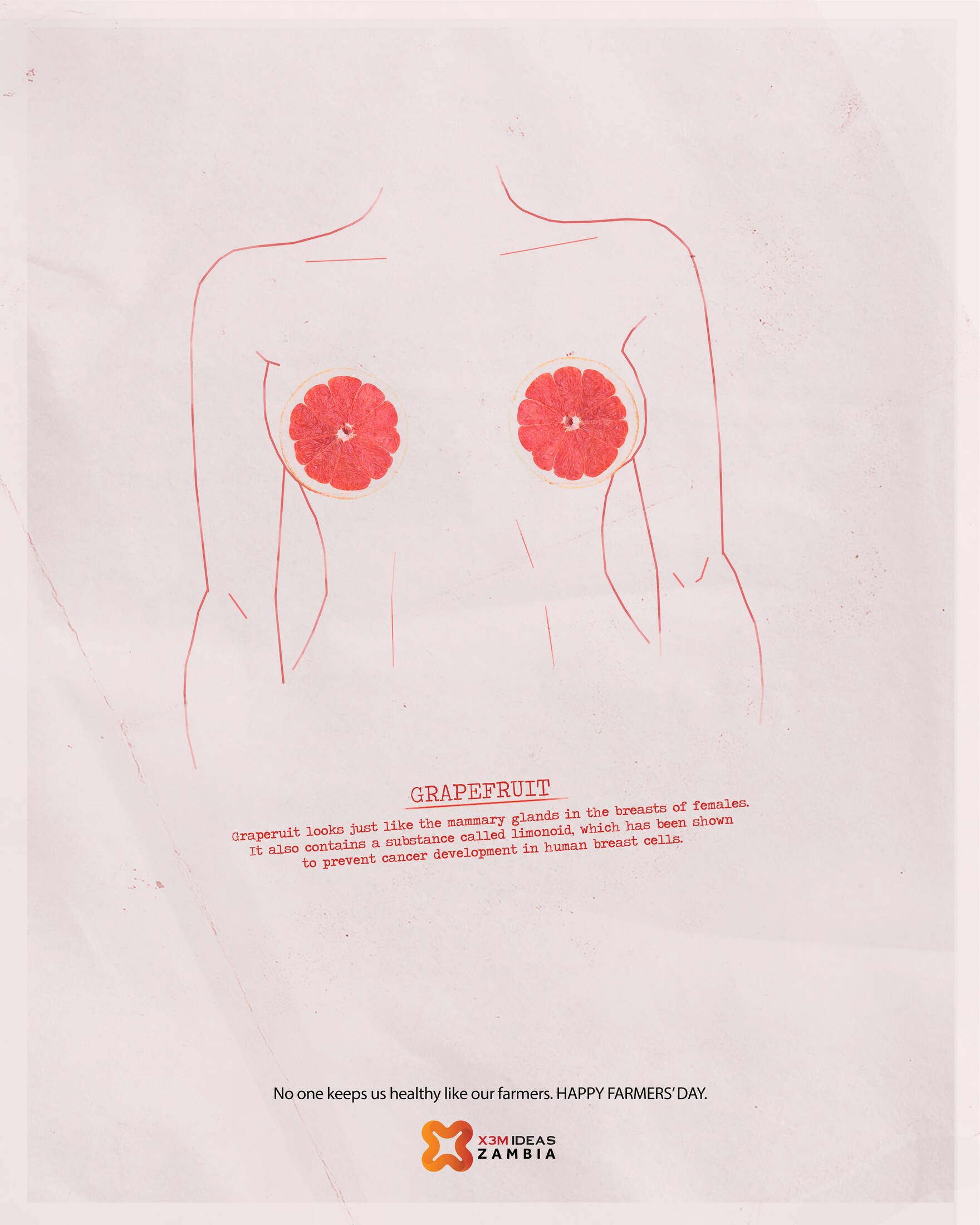 A drawing of a human torso with grapefruit slices in place of breasts, accompanied by a paragraph explaining that grapefruit looks like mammary glands and helps prevent breast cancer, with a message celebrating farmers' Day and the Zambia X3M Ideas l