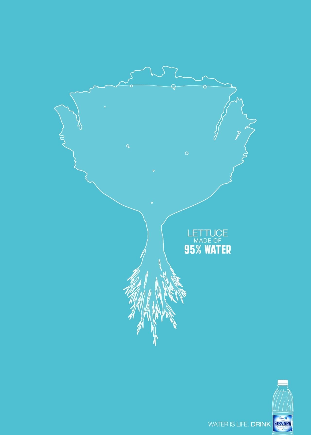 Illustration of a lettuce with roots, labeled as made of 95% water, with a water bottle in the bottom right corner, and text stating 'Water is life. Drink'.