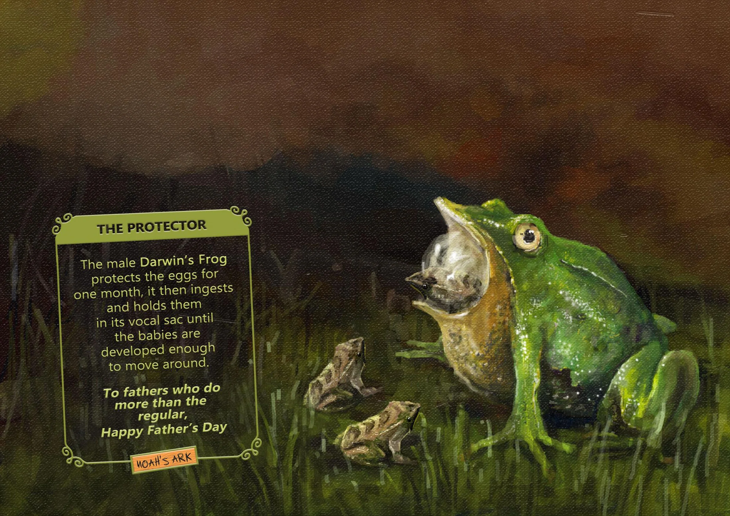 A diagram of a green frog holding a fish in its mouth, with descriptive text about frogs. The frog is positioned on grass and rocks, and there is a label "MOAH'S ARK" beneath the scene. Best Art Director in Nigeria.