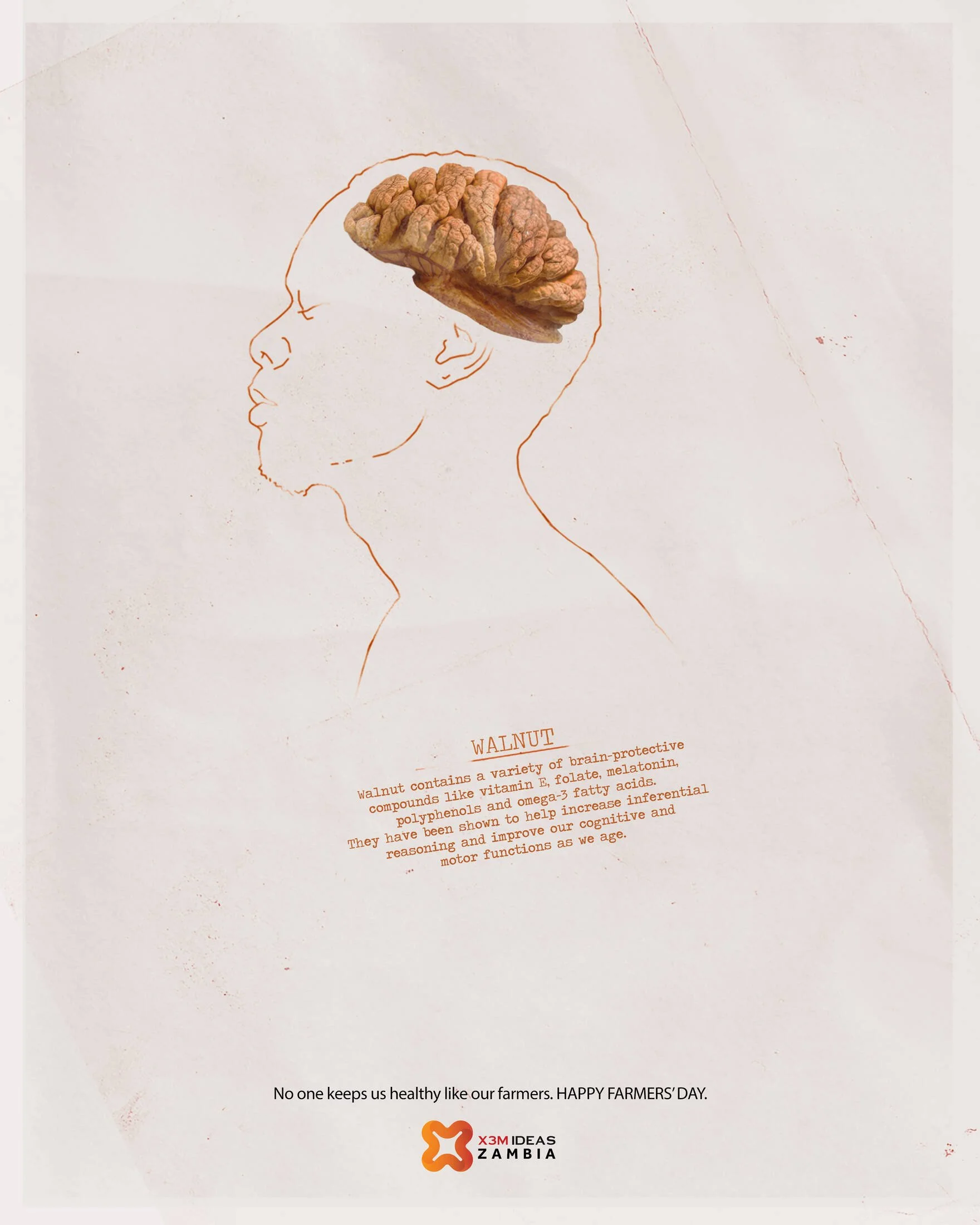 Line drawing of a person's face in profile view with a walnut embedded in the head area, depicting the brain. Text on the poster discusses walnuts' health benefits and ends with a message for farmers' day, along with the ZAMBIA logo.