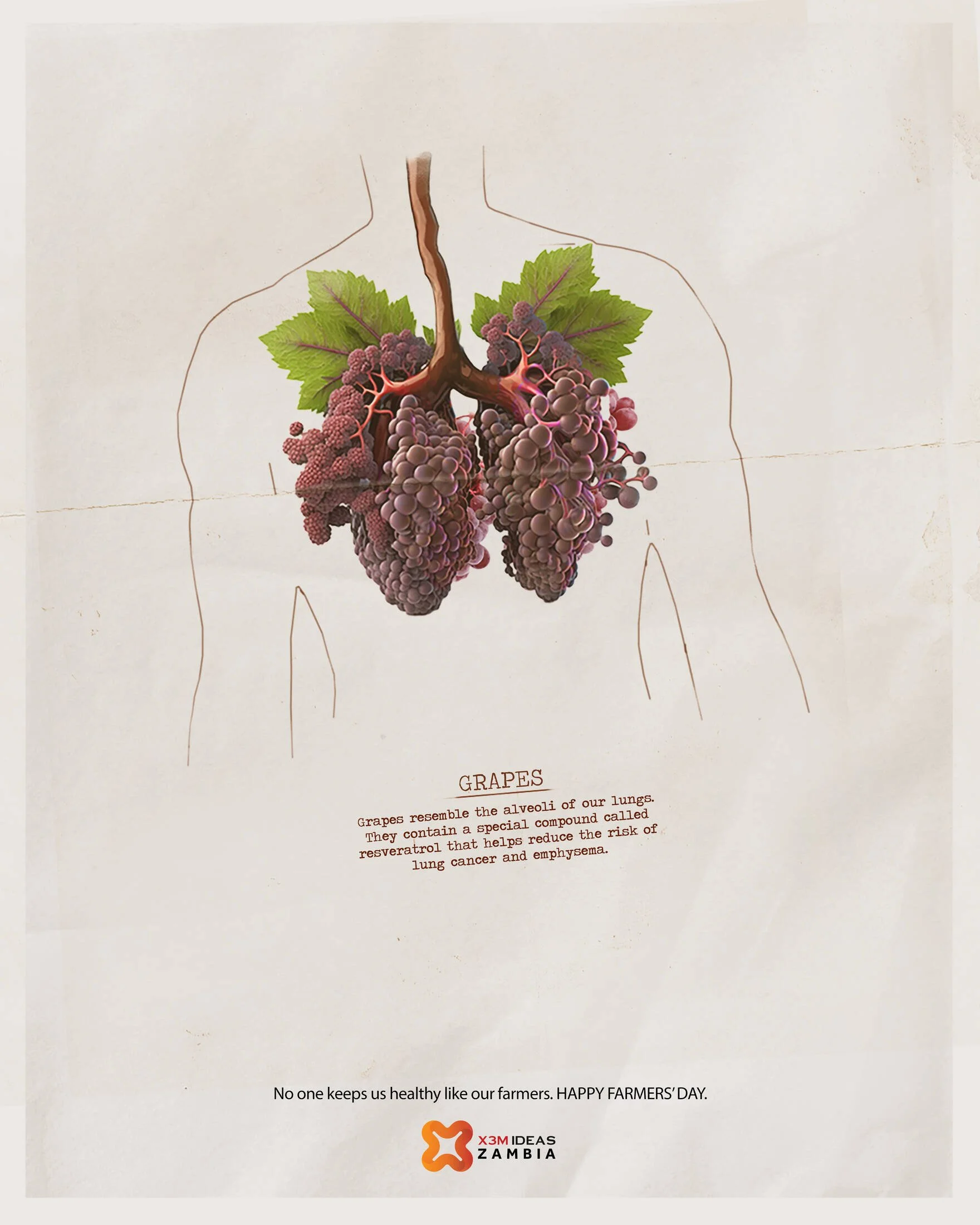 Illustration of grapes resembling lung alveoli, with a description about their health benefits and a message celebrating Farmers' Day in Zambia.