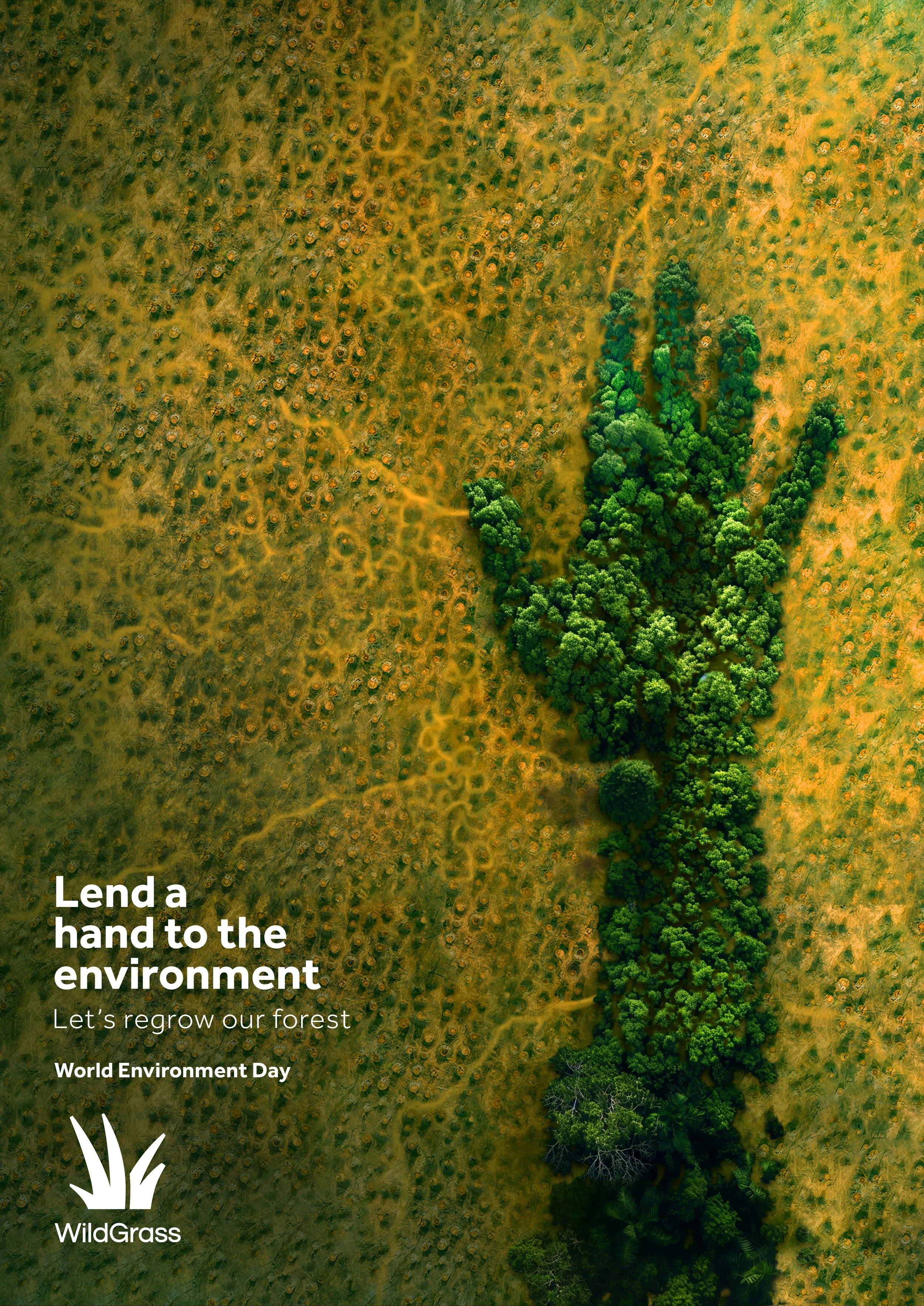 An aerial view of a forest with a clear division between a lush, green forested area and a deforested area with numerous tree stumps. The photo is overlaid with text encouraging environmental conservation, with a WildGrass logo at the bottom.