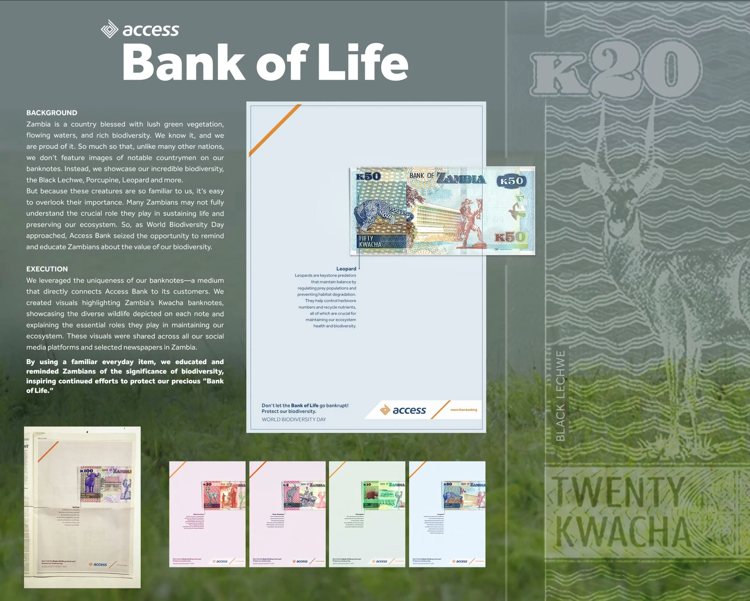 Display of various banknotes from Zambia highlighting their biodiversity featuring animals like elephants, leopards, and buffalo on colorful notes, with accompanying text about Zambia's rich biodiversity and the importance of conservation.