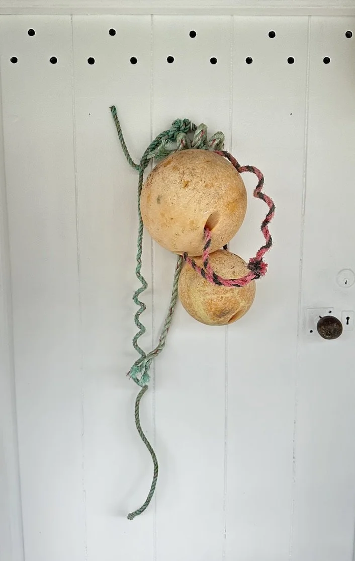 Two beach balls with ropes attached, hanging on a white wall with pegboard holes.