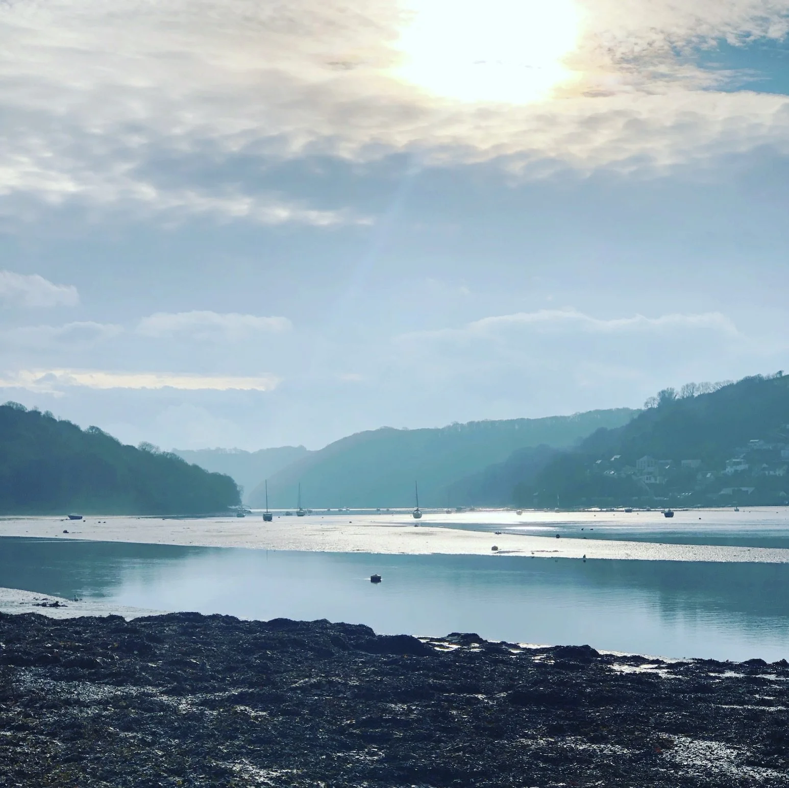 A walk along  Lerryn river at low tide.