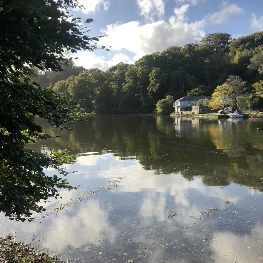A peaceful lake surrounded by trees with a house and boat on the shoreline, reflecting the cloudy sky.