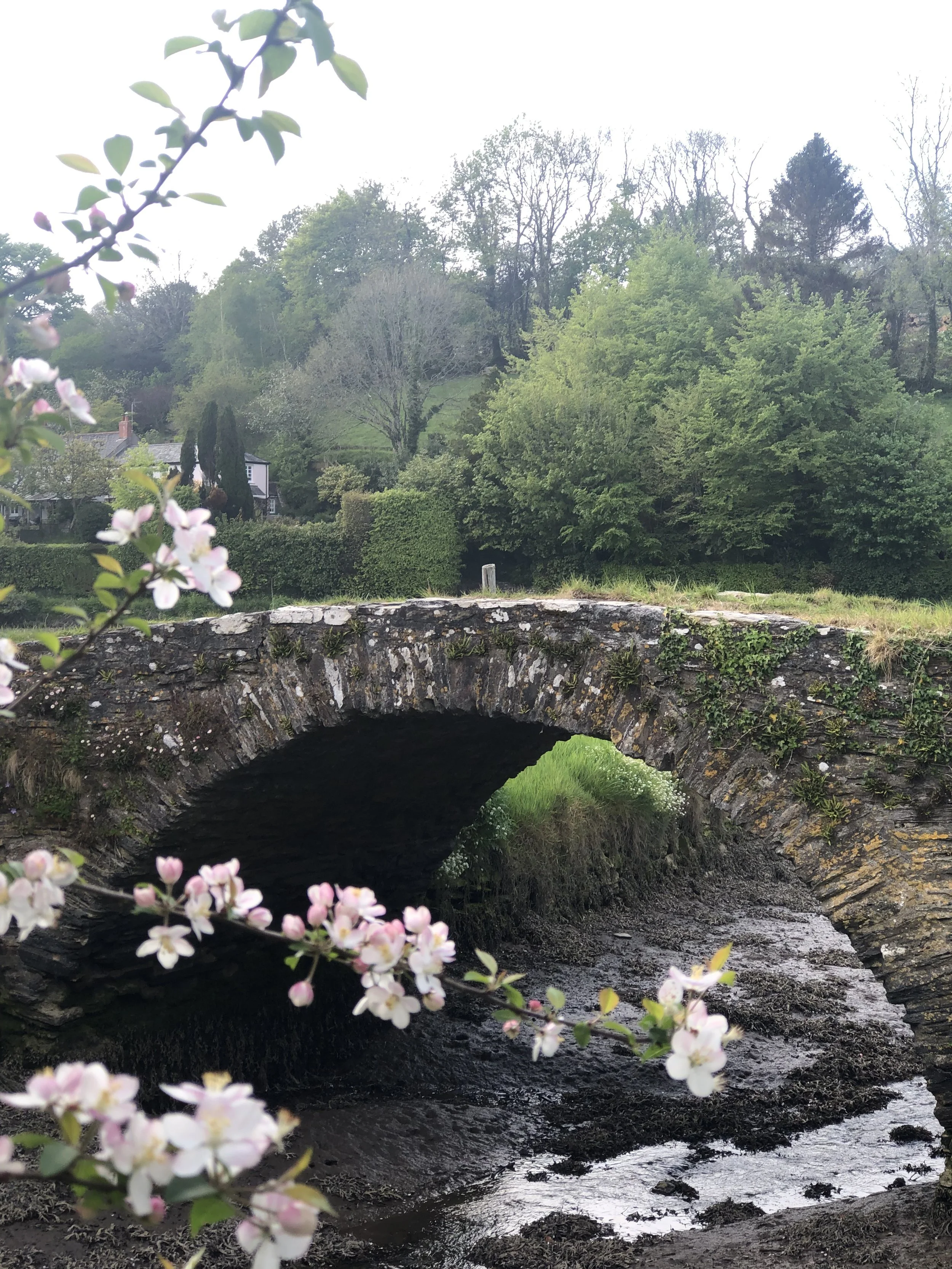 A small stone arch bridge over a flowing river with lush green trees in the background and pink blossoms in the foreground.