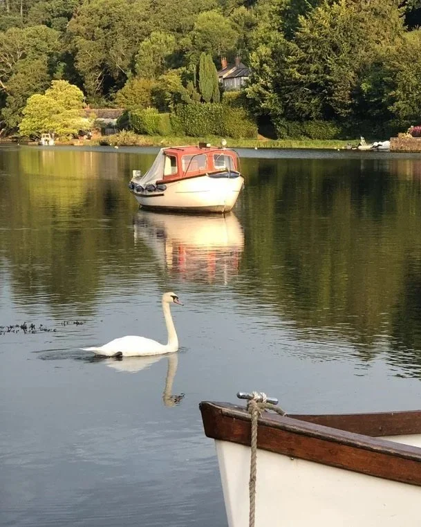 A swan swimming in a lake with two boats, one in the foreground and another in the background, and lush green trees and houses on the shore.