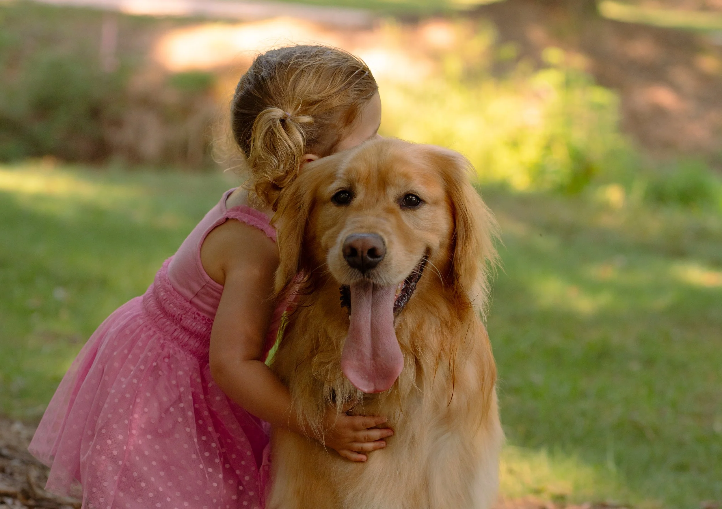 A young girl hugging a golden retriever dog outdoors in a park with blurred green trees and grass in the background.