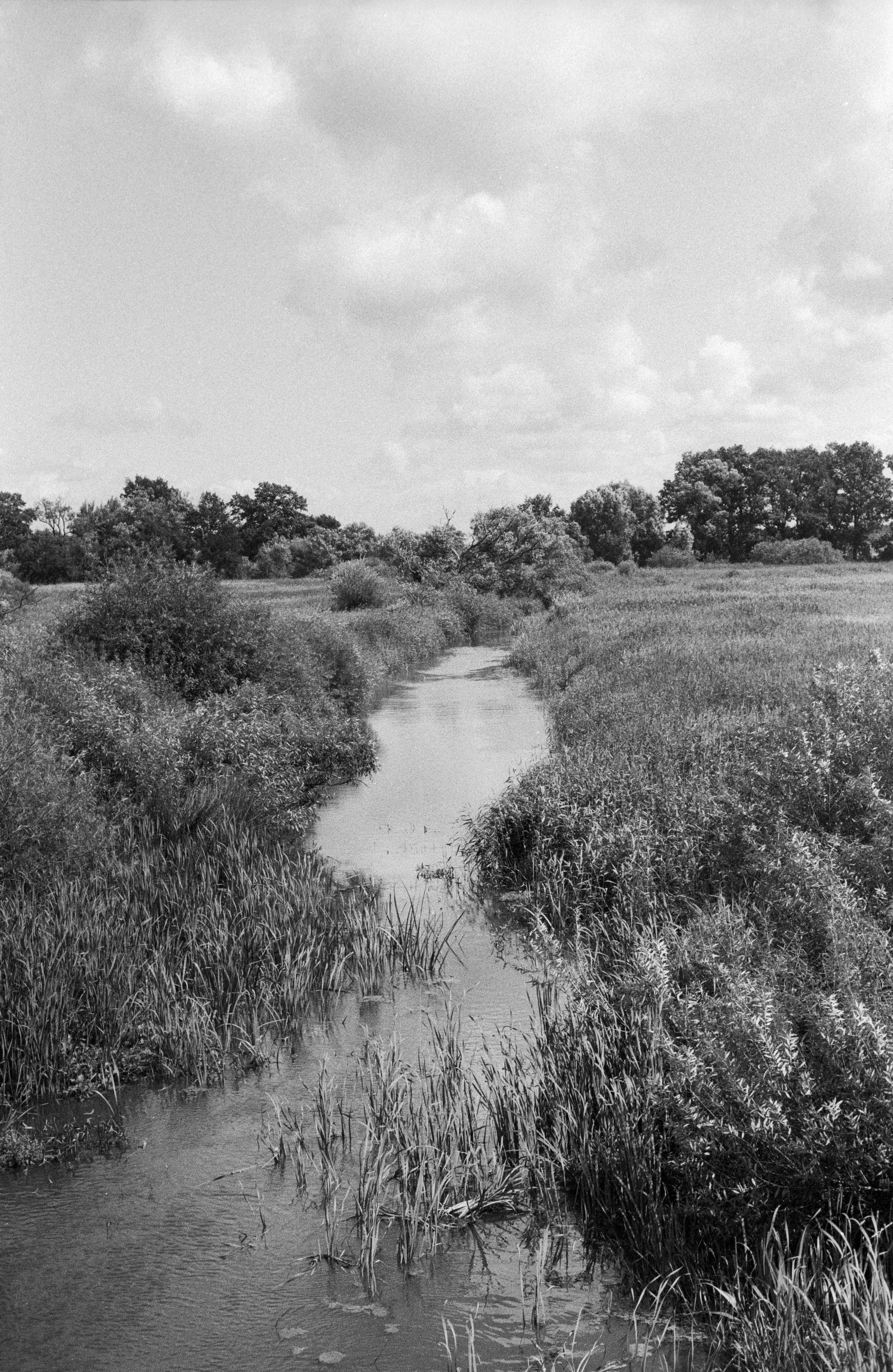Scan_03 копия.jpg