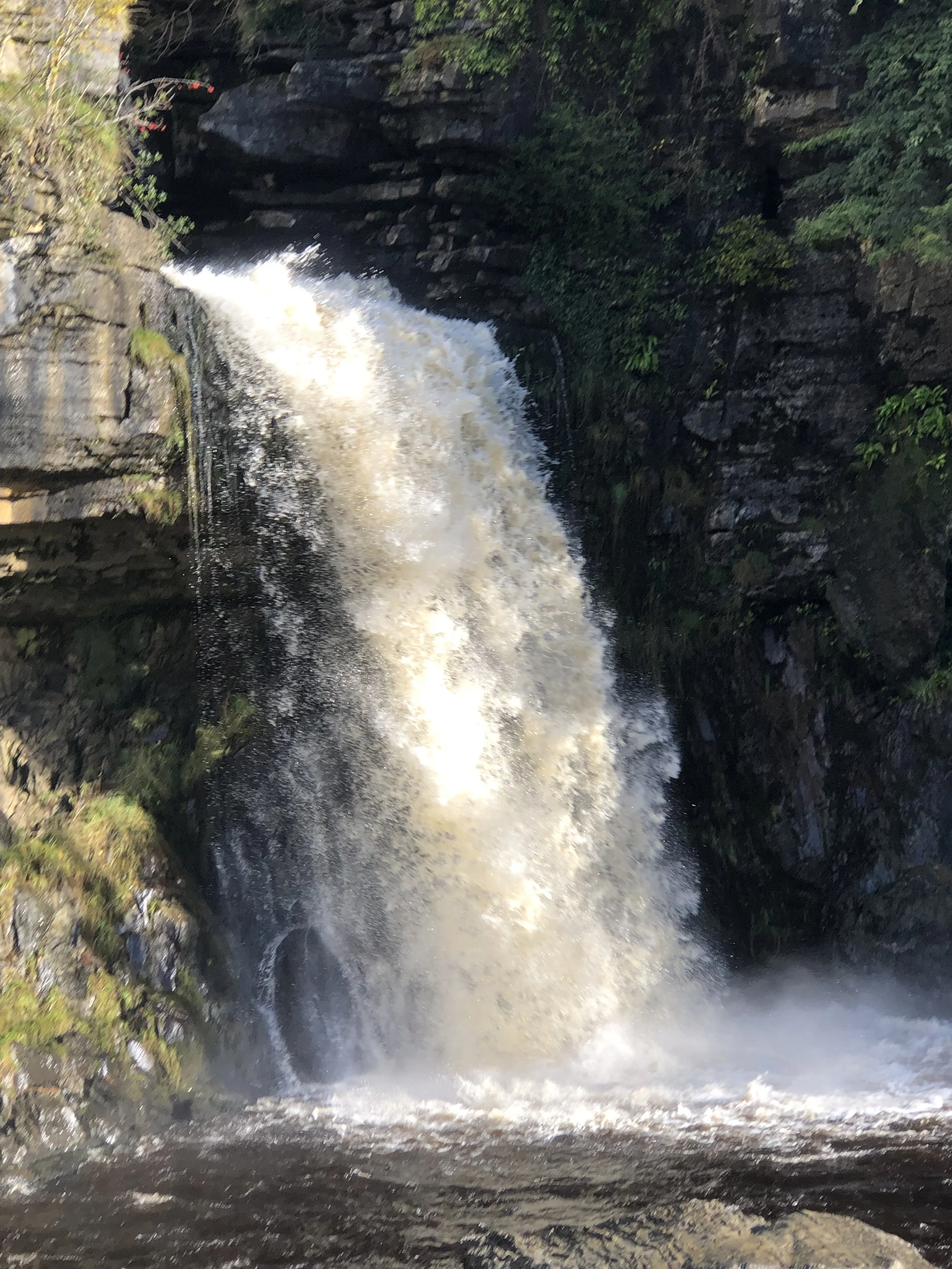 A waterfall cascading down rocks in a natural forest setting with green foliage on the sides.