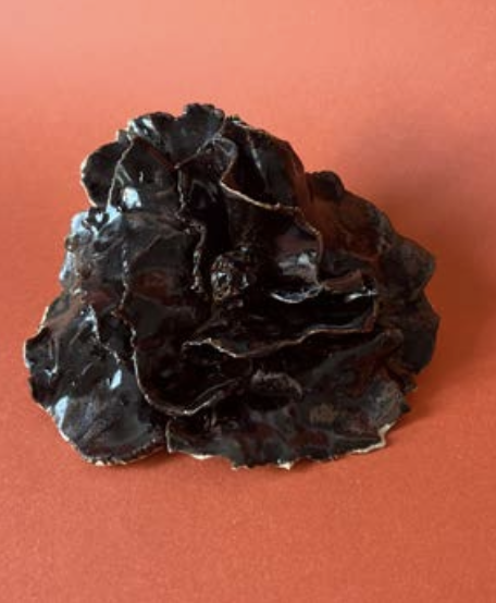 Un morceau de météorite noire avec surface rugueuse, placé sur un fond rouge