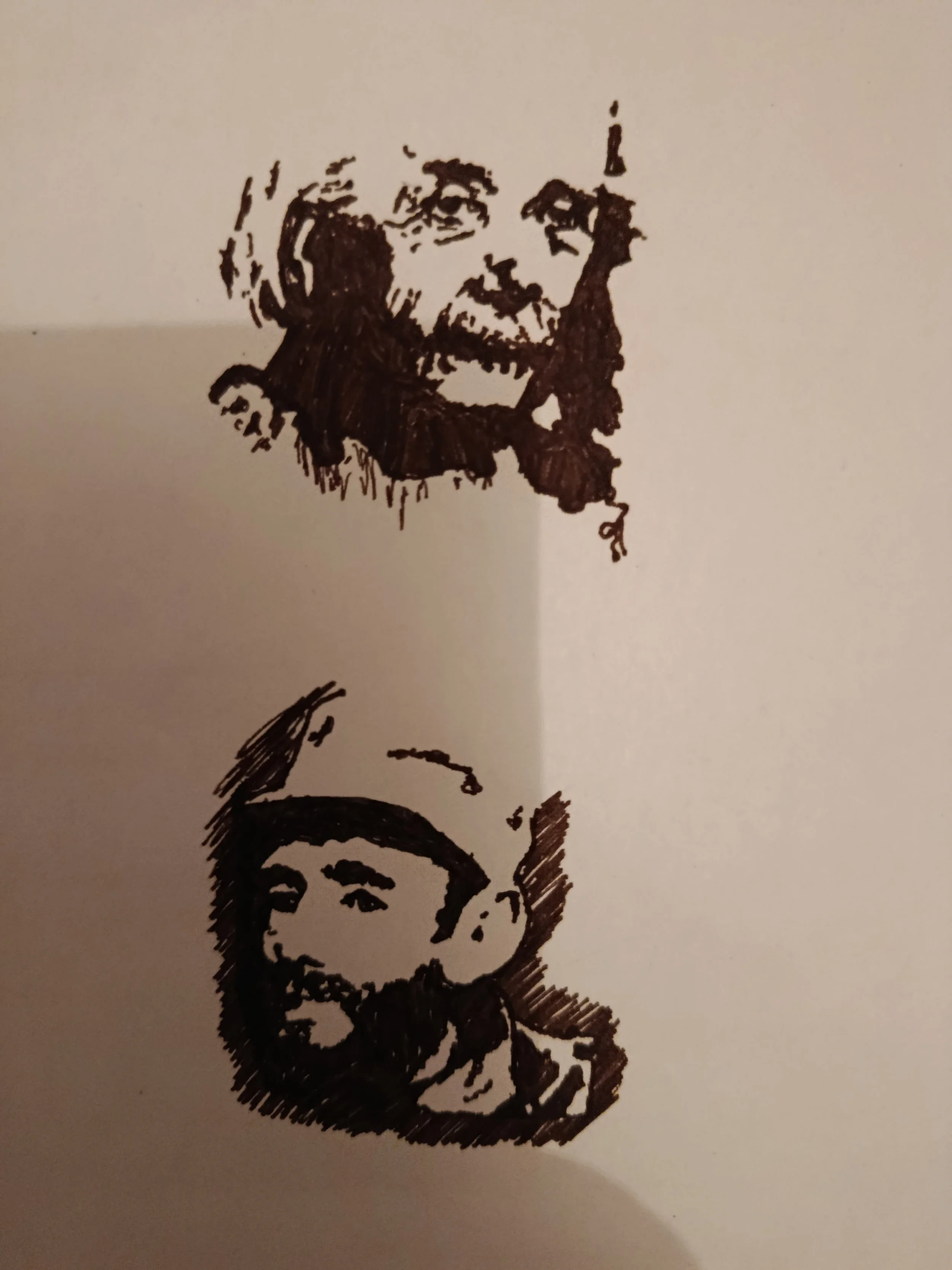 2/6
