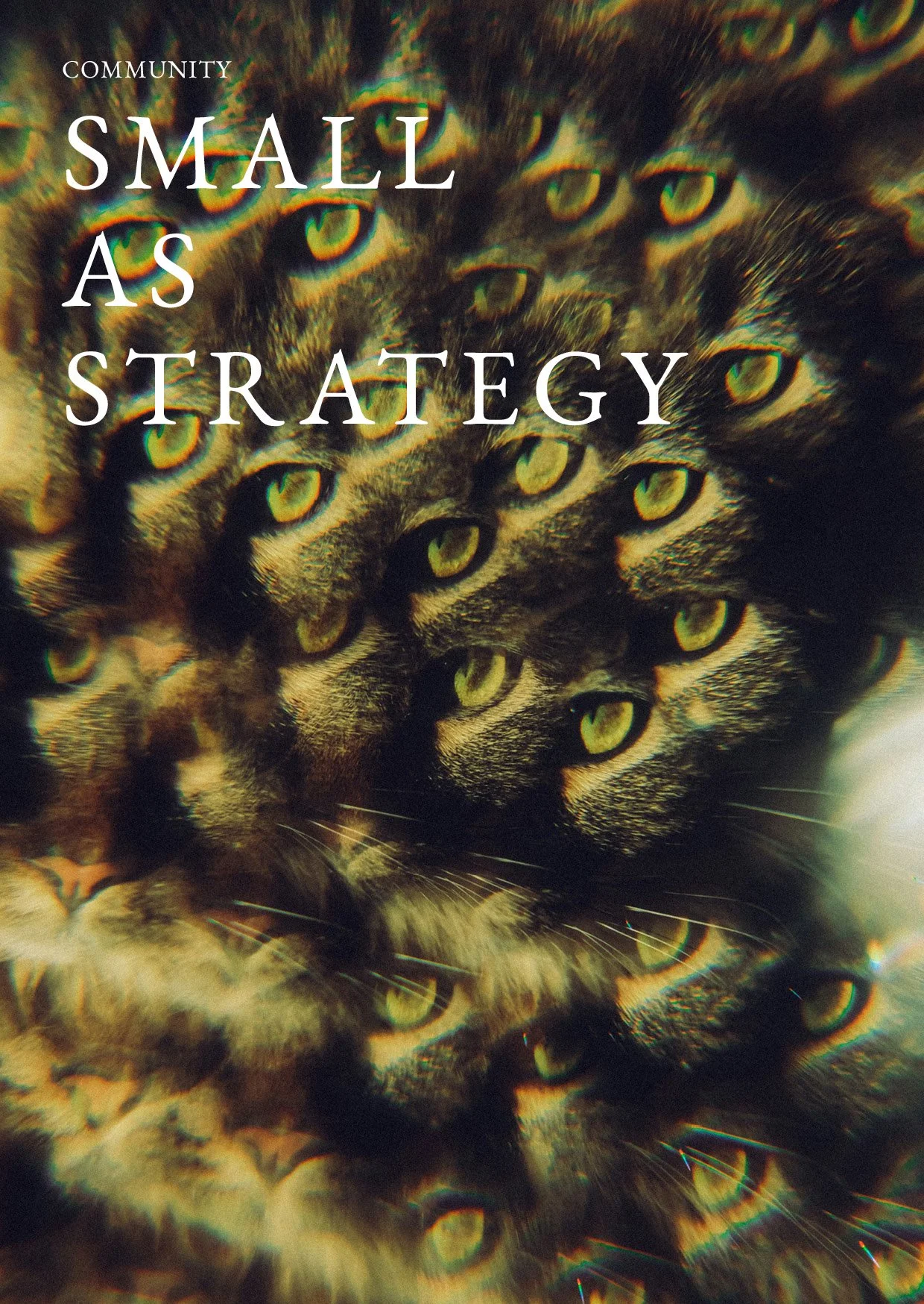 Small as strategy