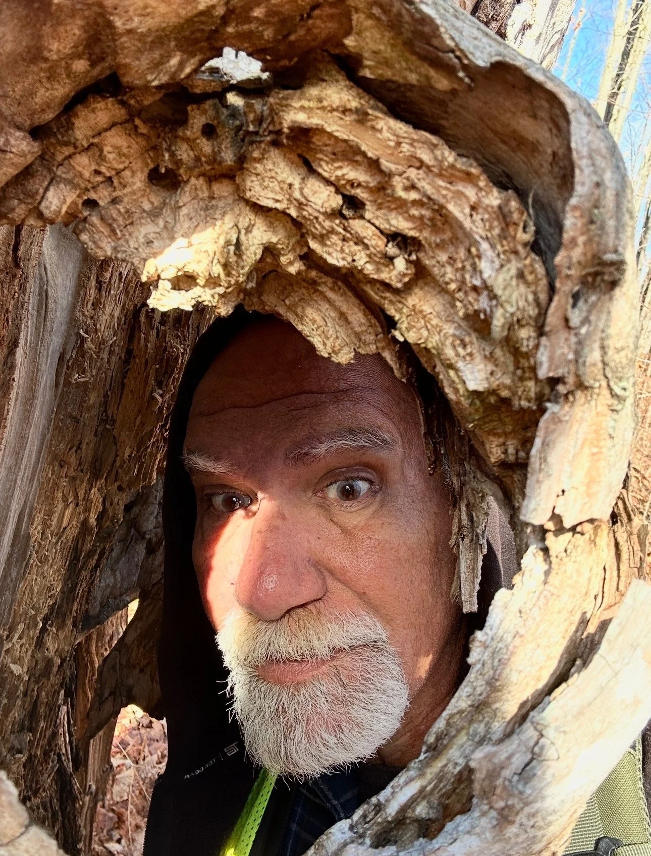 Dan Lauterbur, vice-president of The Healing Feast Foundation board, is a a man with white facial hair peering through a hollow log in a forested area.