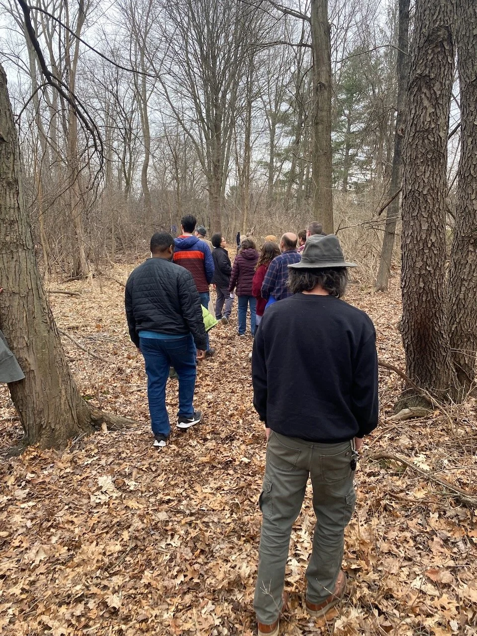 The Healing Feast Walk