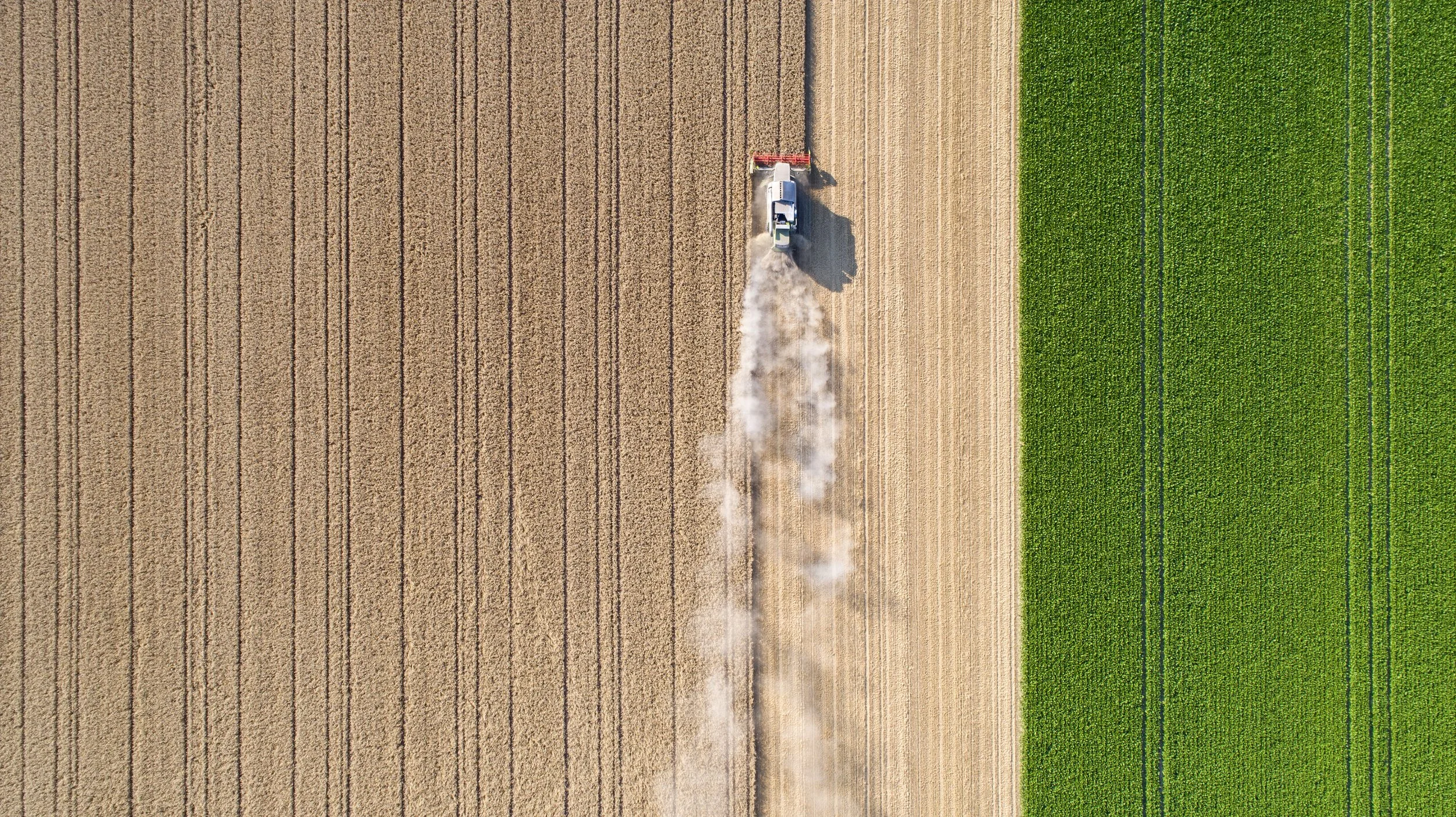 Agriculture and Food Systems 
