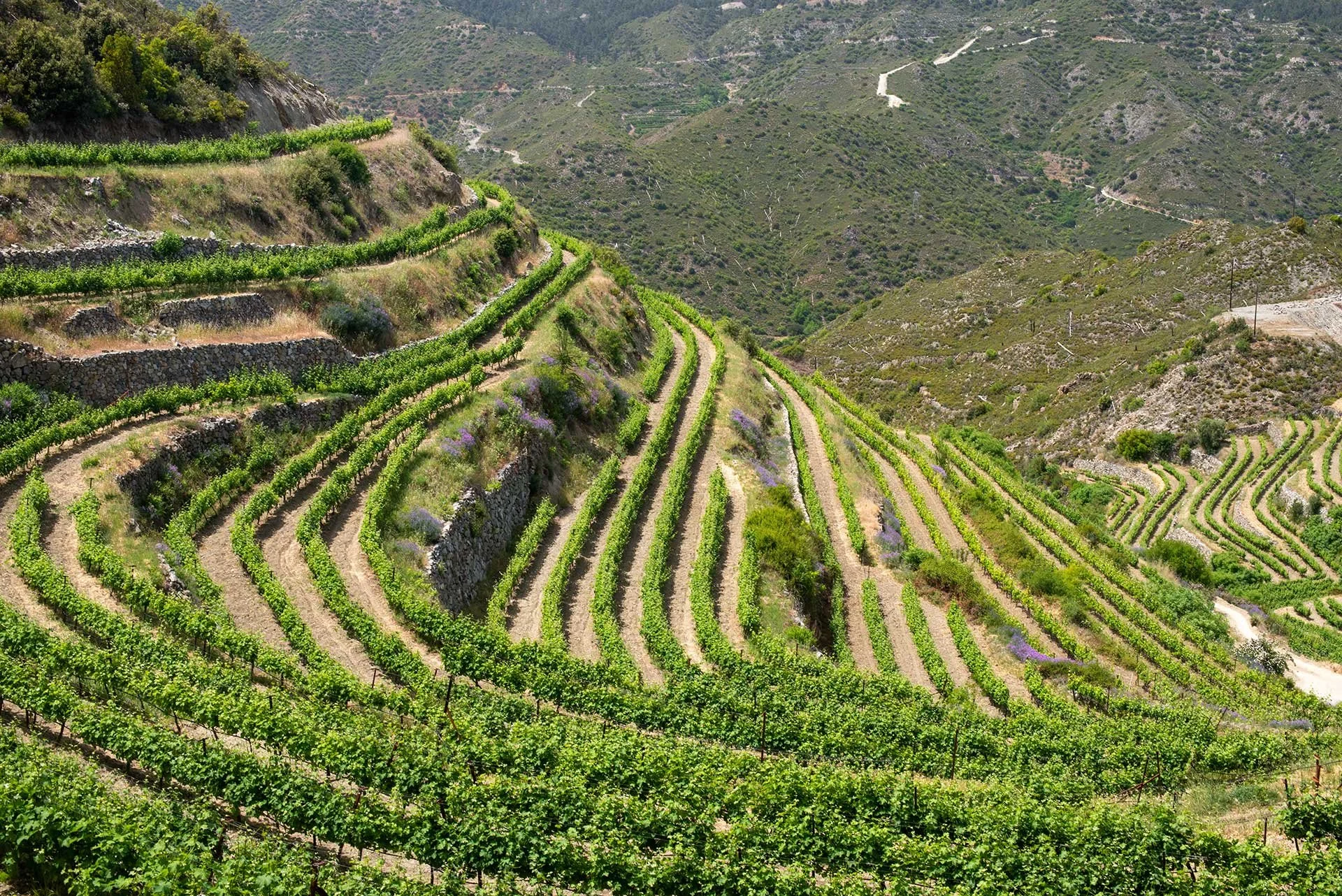 Mountain Agriculture, Food Systems and Terraced Landscapes