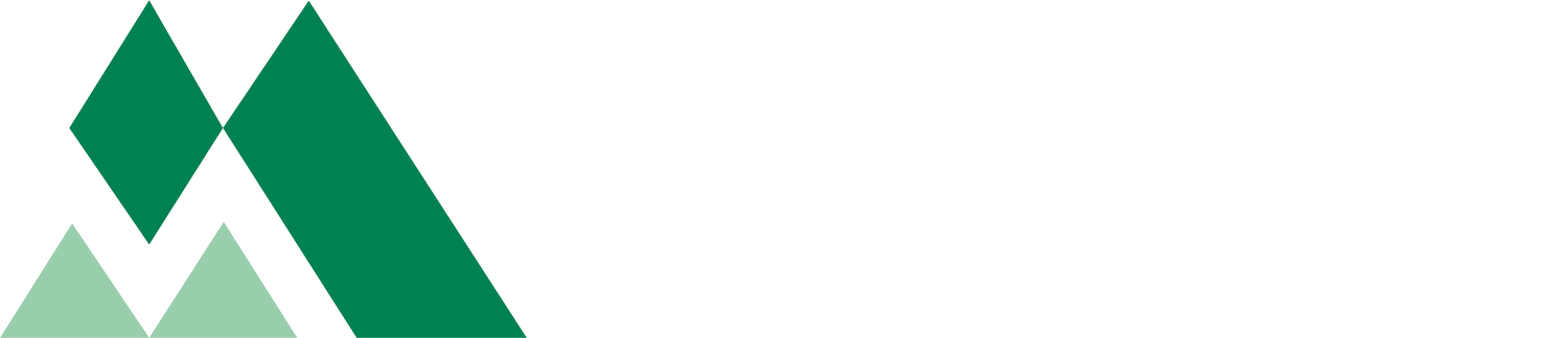 MountMed Institute