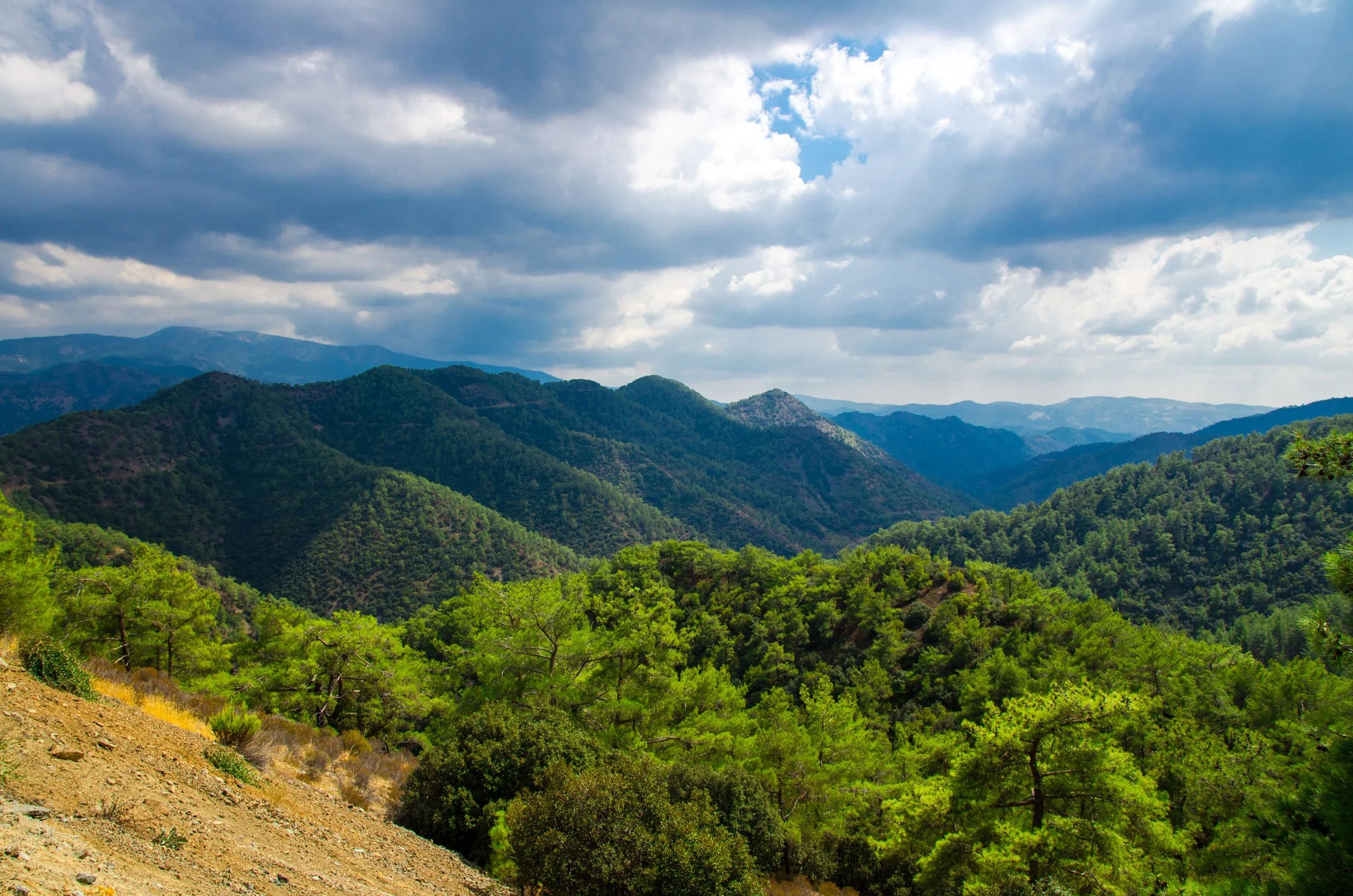 Troodos Mountain Range