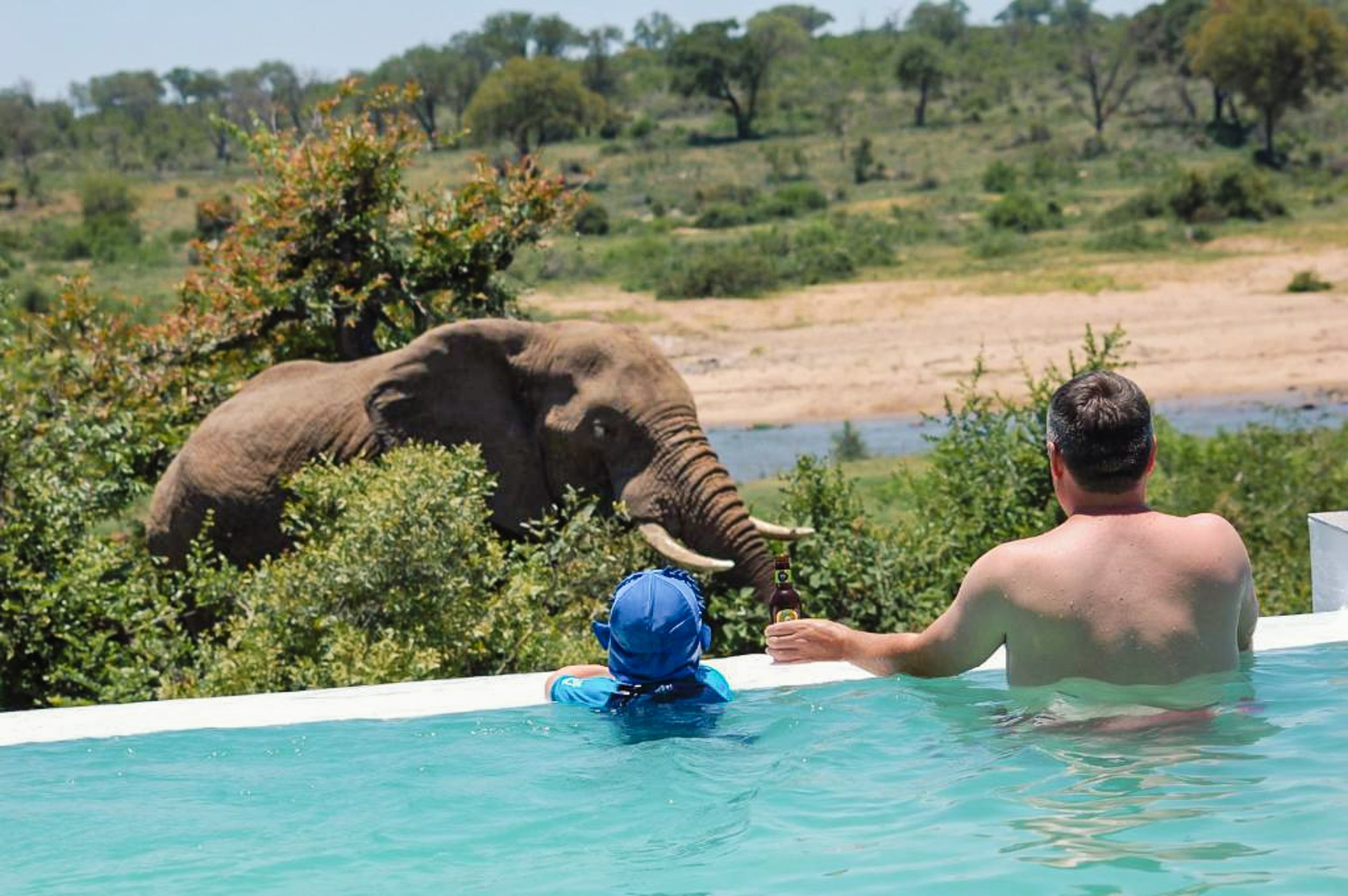 Pool with a view