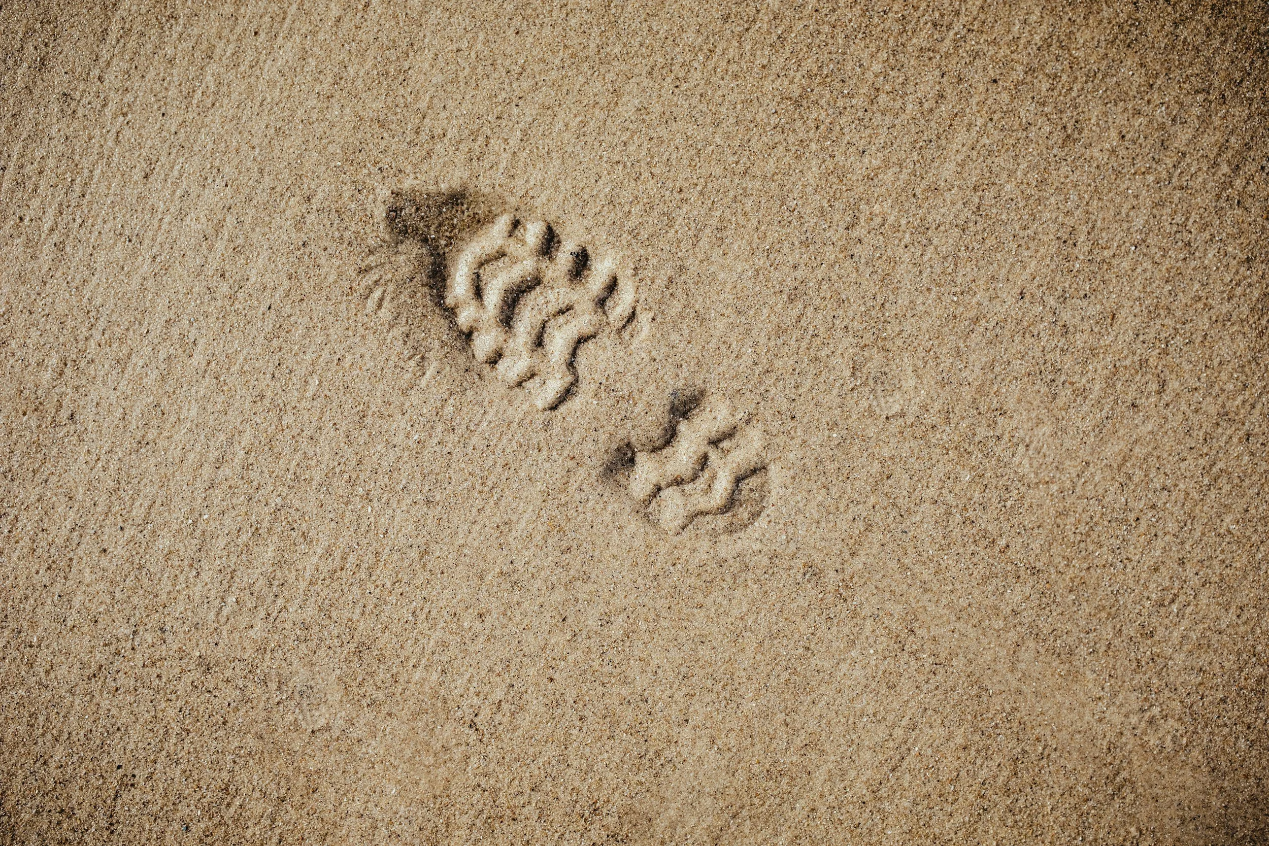 Fußspuren im Sand