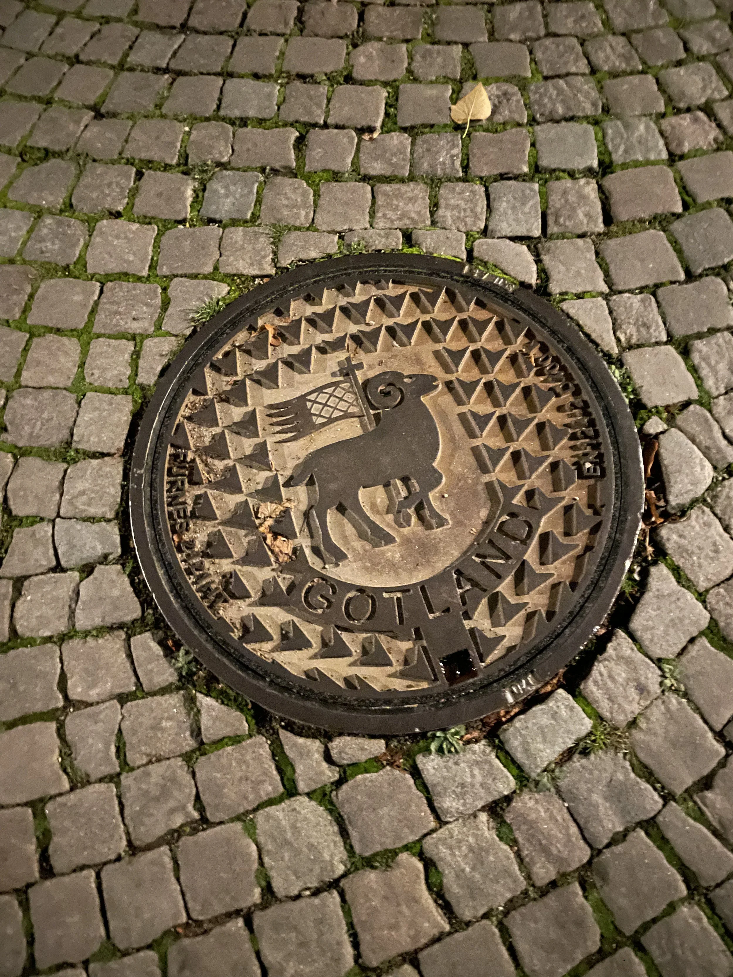 A round manhole cover with the image of a horse and text that says 'Horses' set into a cobblestone street with grass growing between the stones, and a few fallen leaves on the ground.