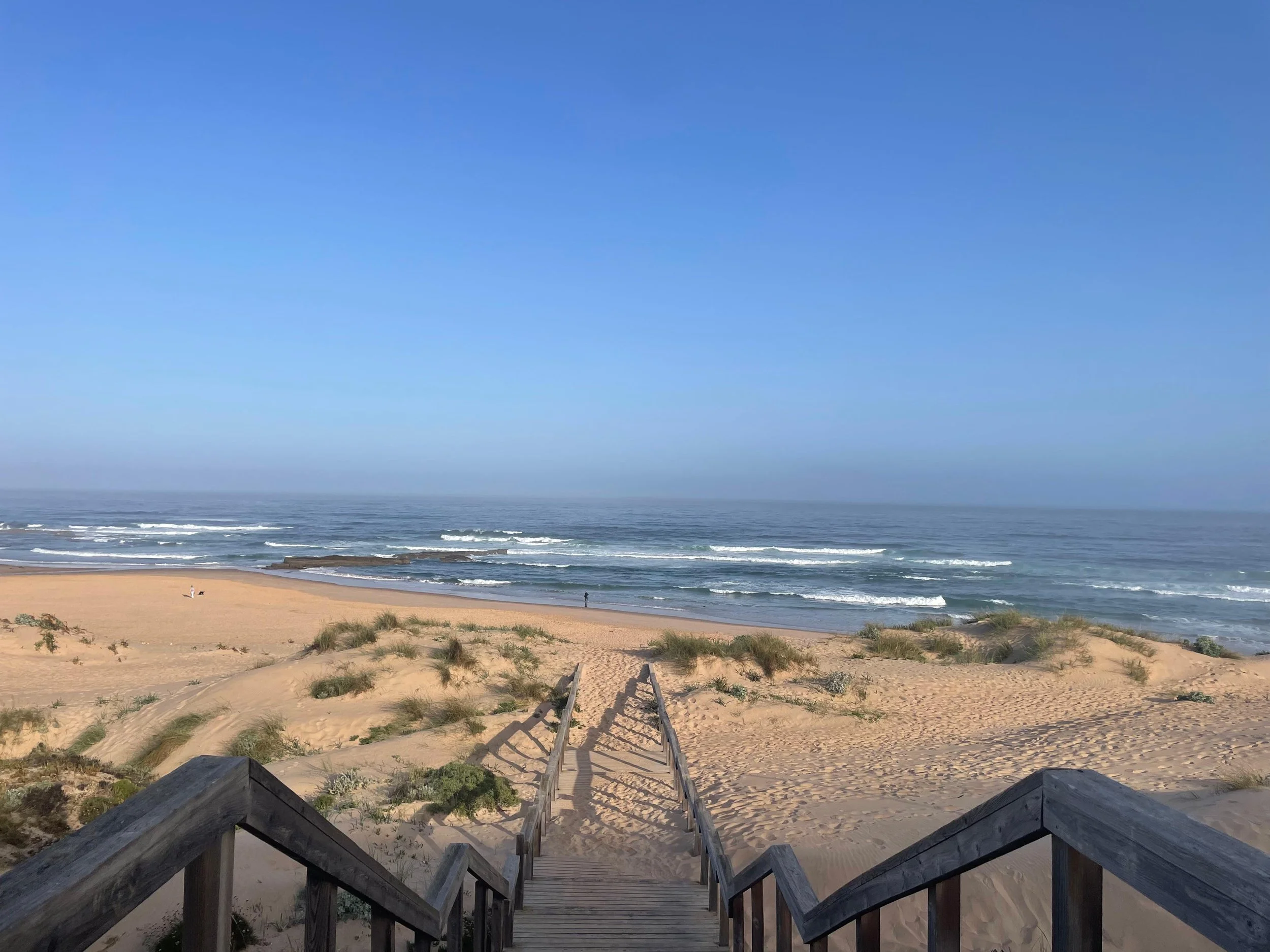 TidewiseLife: Stop asking what you want to be. Start asking how you want to live. Tidewise Life offers mentoring and counseling for professionals ready to design a life that truly fits.