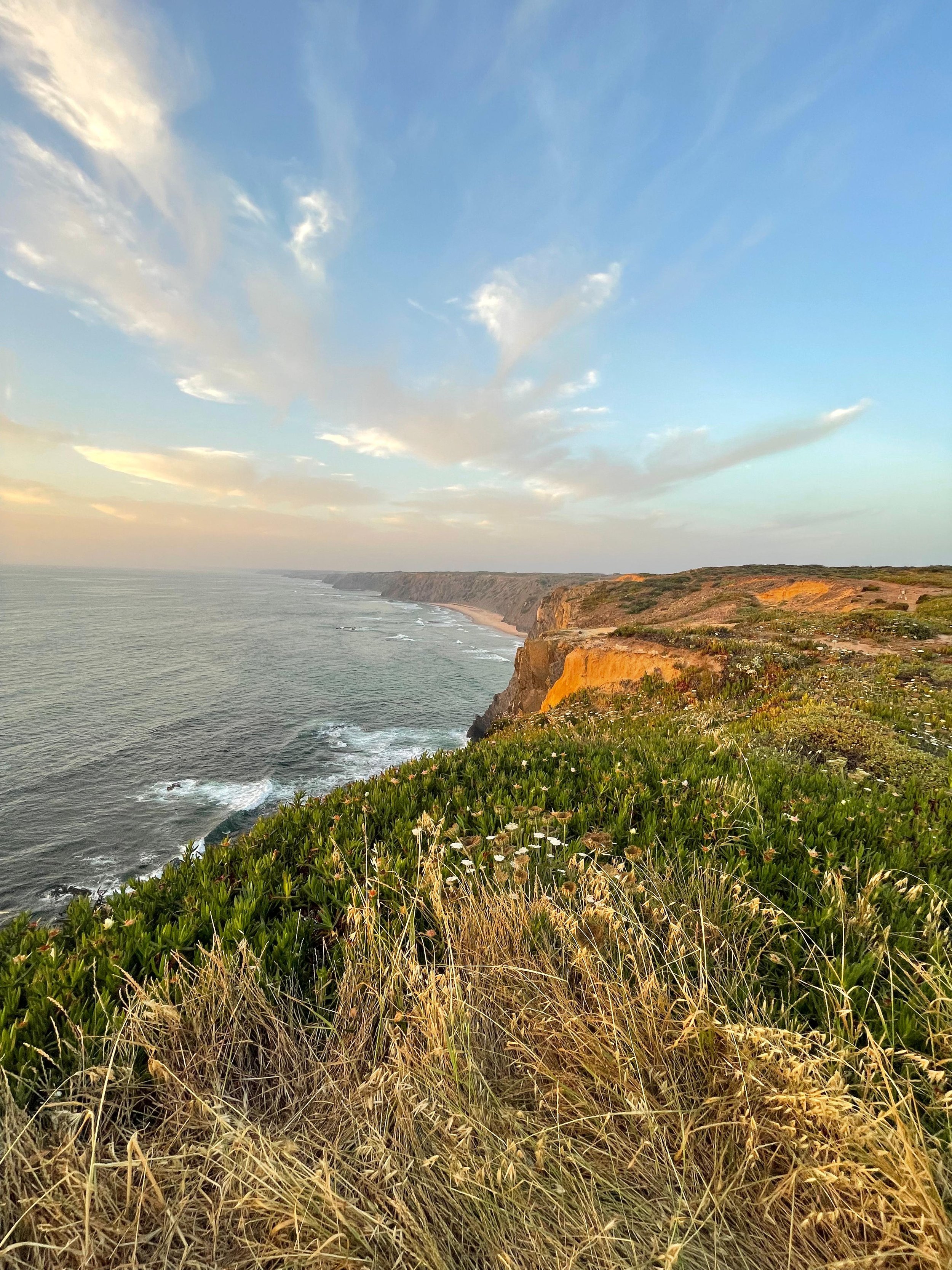 TidewiseLife: Stop asking what you want to be. Start asking how you want to live. Tidewise Life offers mentoring and counseling for professionals ready to design a life that truly fits.