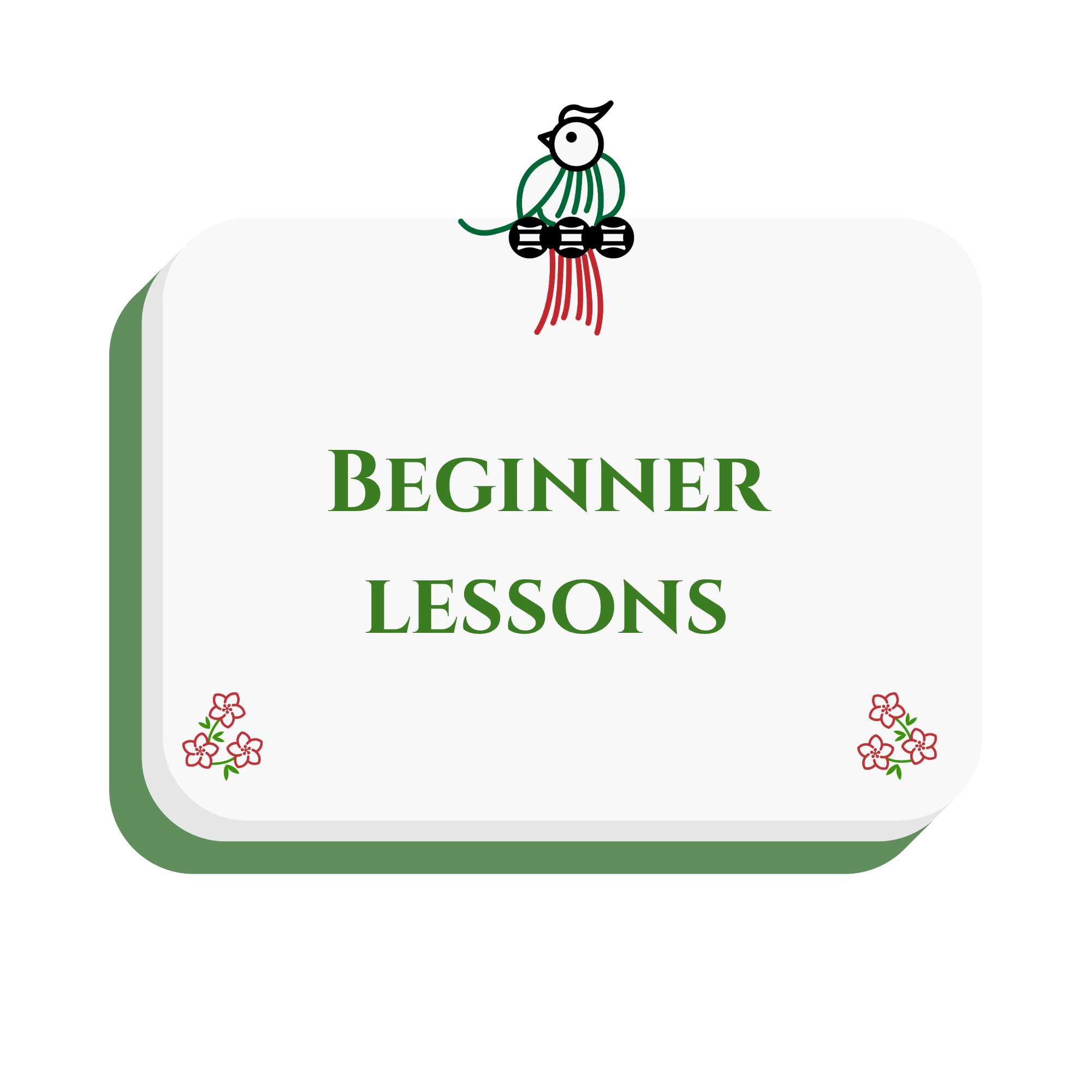 Beginner Lesson