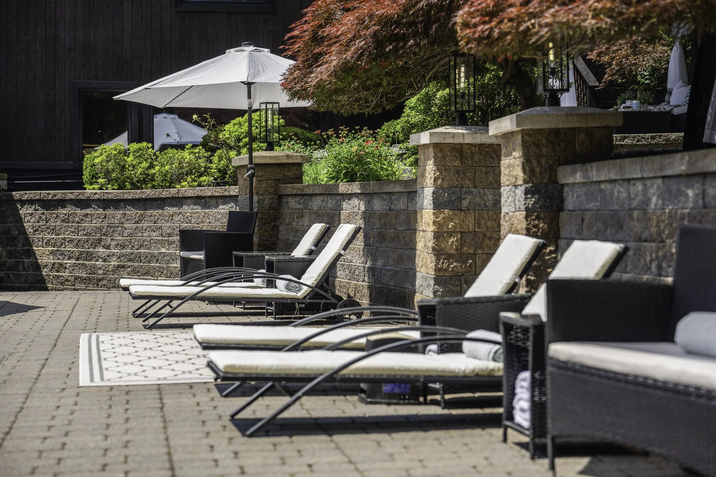 A backyard patio scene with four white lounge chairs with rolled-up towels, a stone wall with a garden behind it, a tree with red leaves, an outdoor umbrella, and a patio rug.