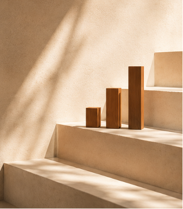 Category & Portfolio Growth
