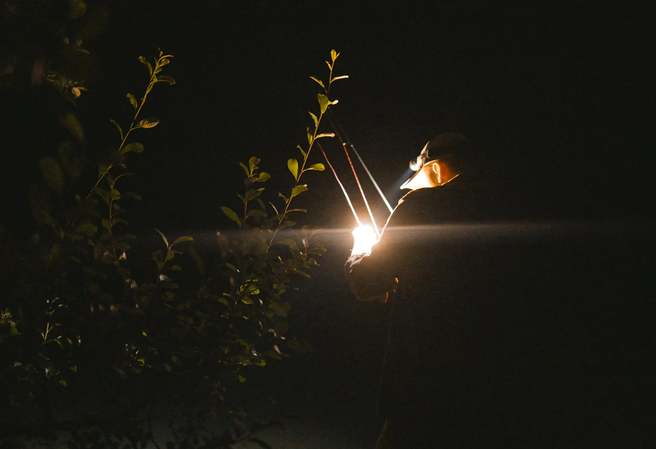 Untitled_1.1.47.jpg