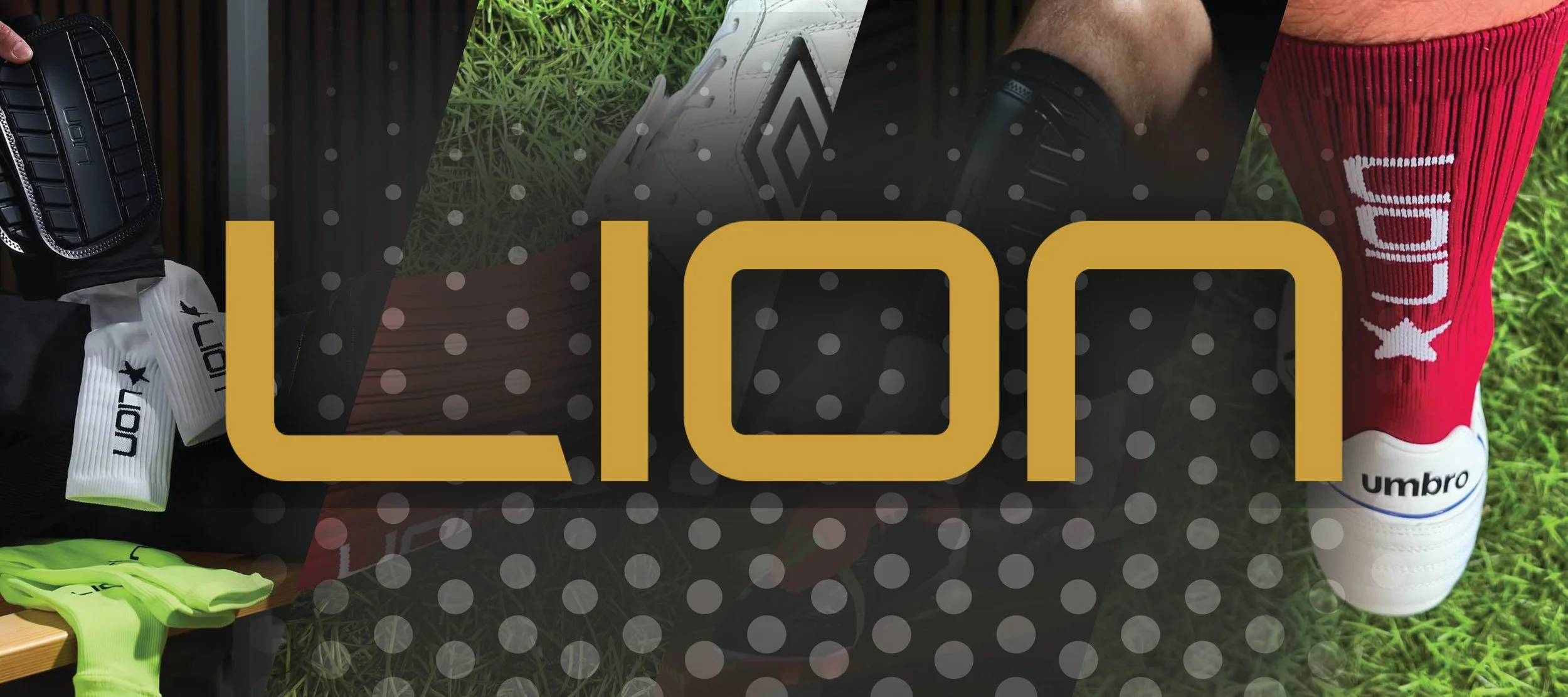 Lion Banner.jpg