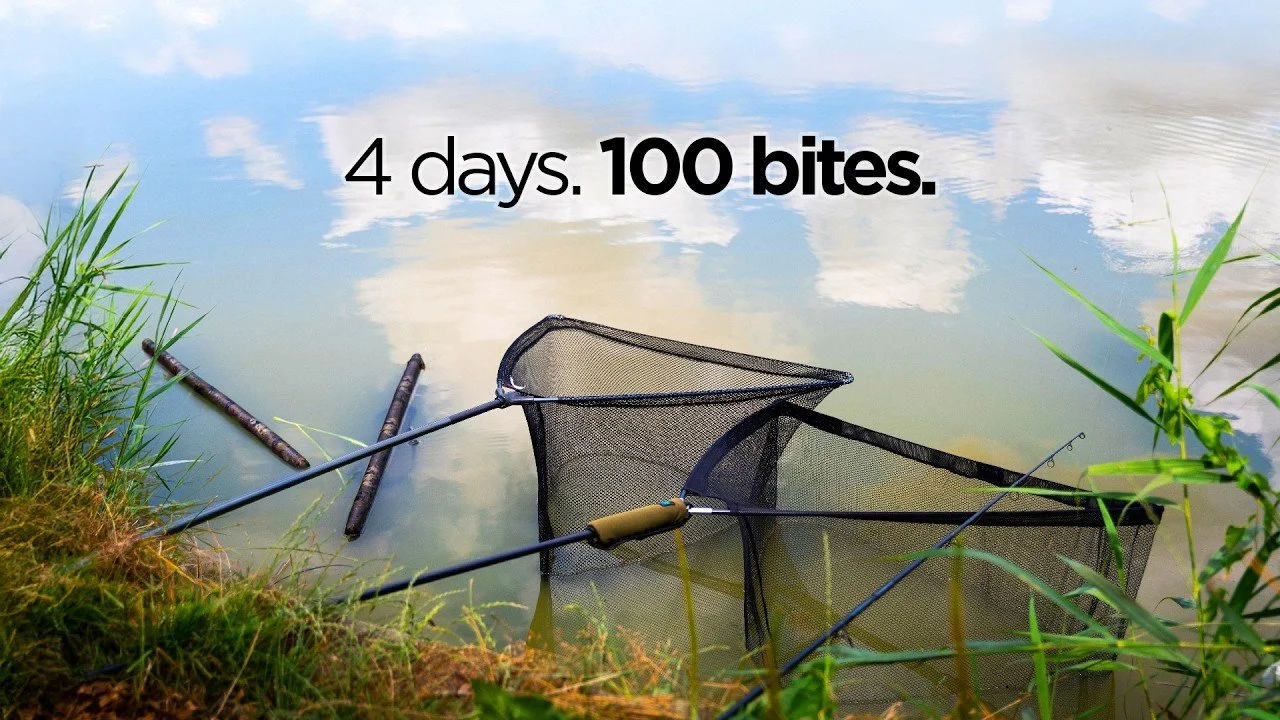 I Never Knew Fishing Could Be Like This..