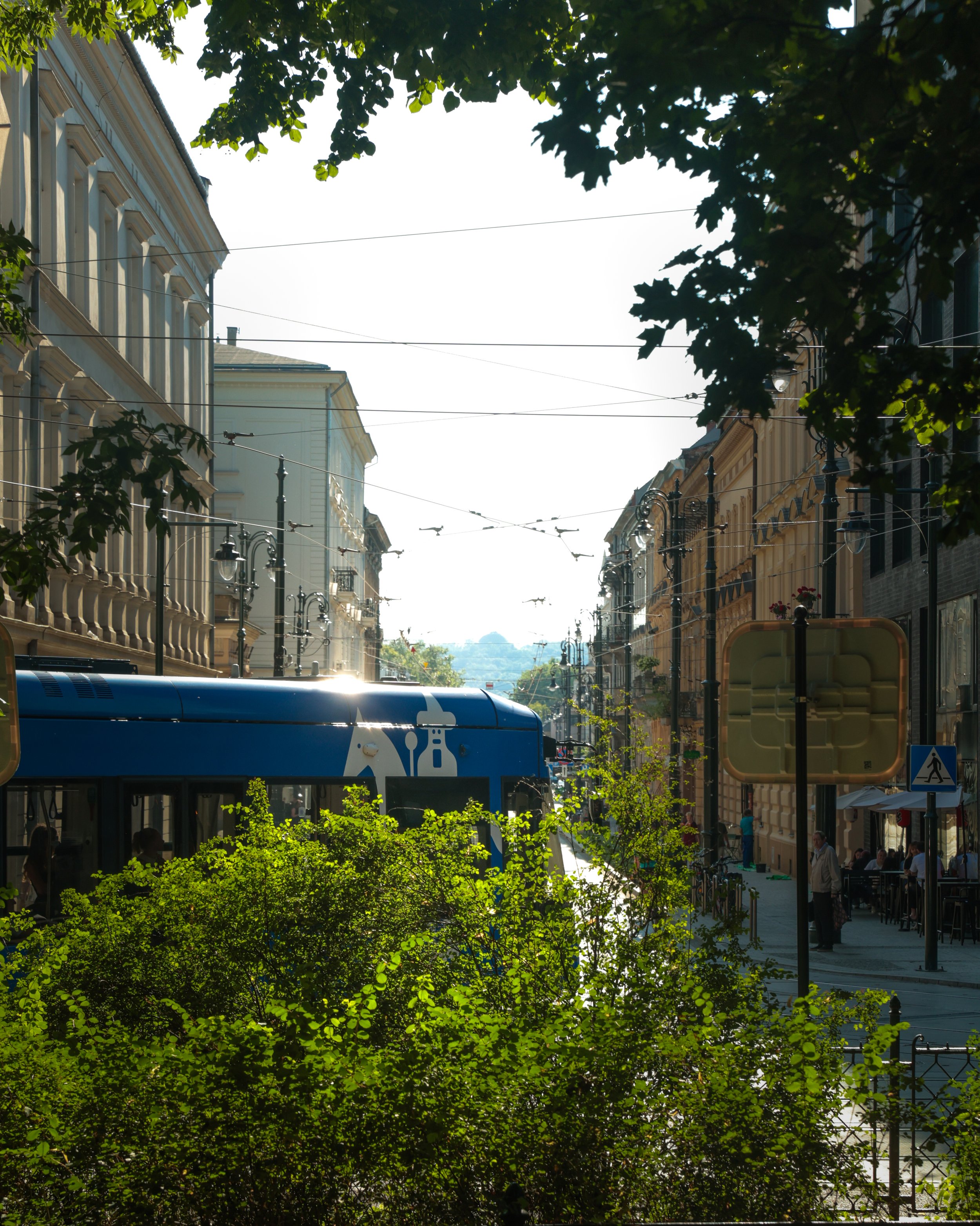 TWR62419.jpg