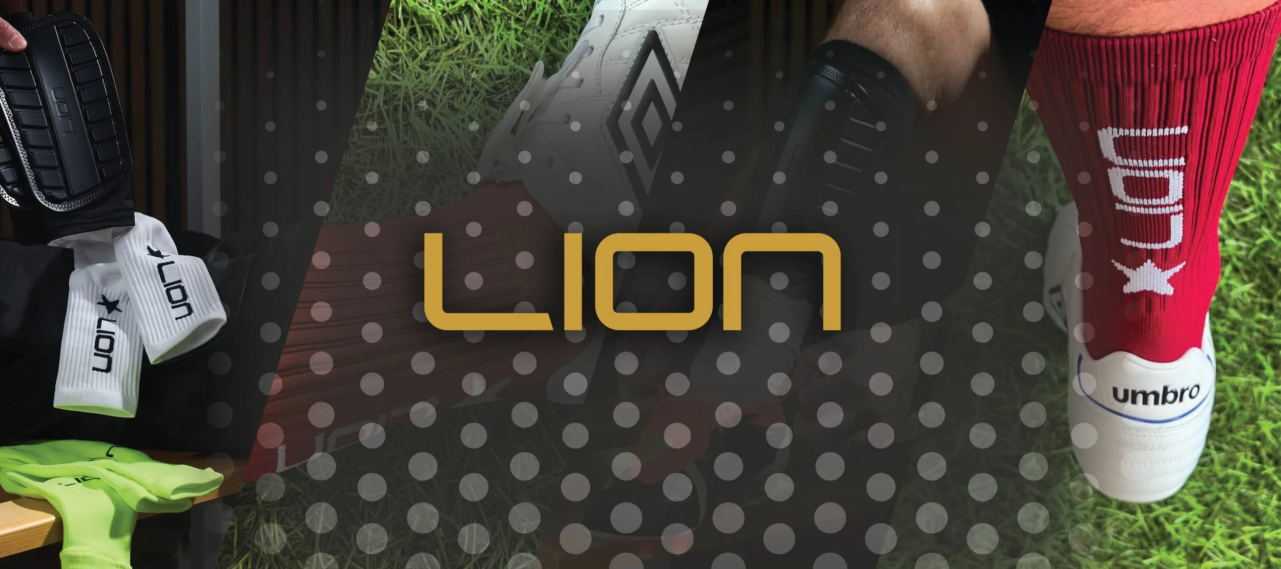 Lion Sportwear Banner