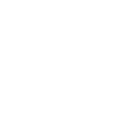 Outline of a house with a triangular roof, a rectangular door, and side walls.