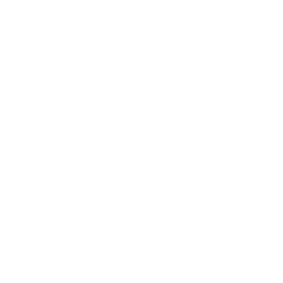 Line drawing of a hop cone, a symbol associated with brewing and beer.