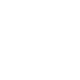 Line drawing of a bunch of grapes with a leaf