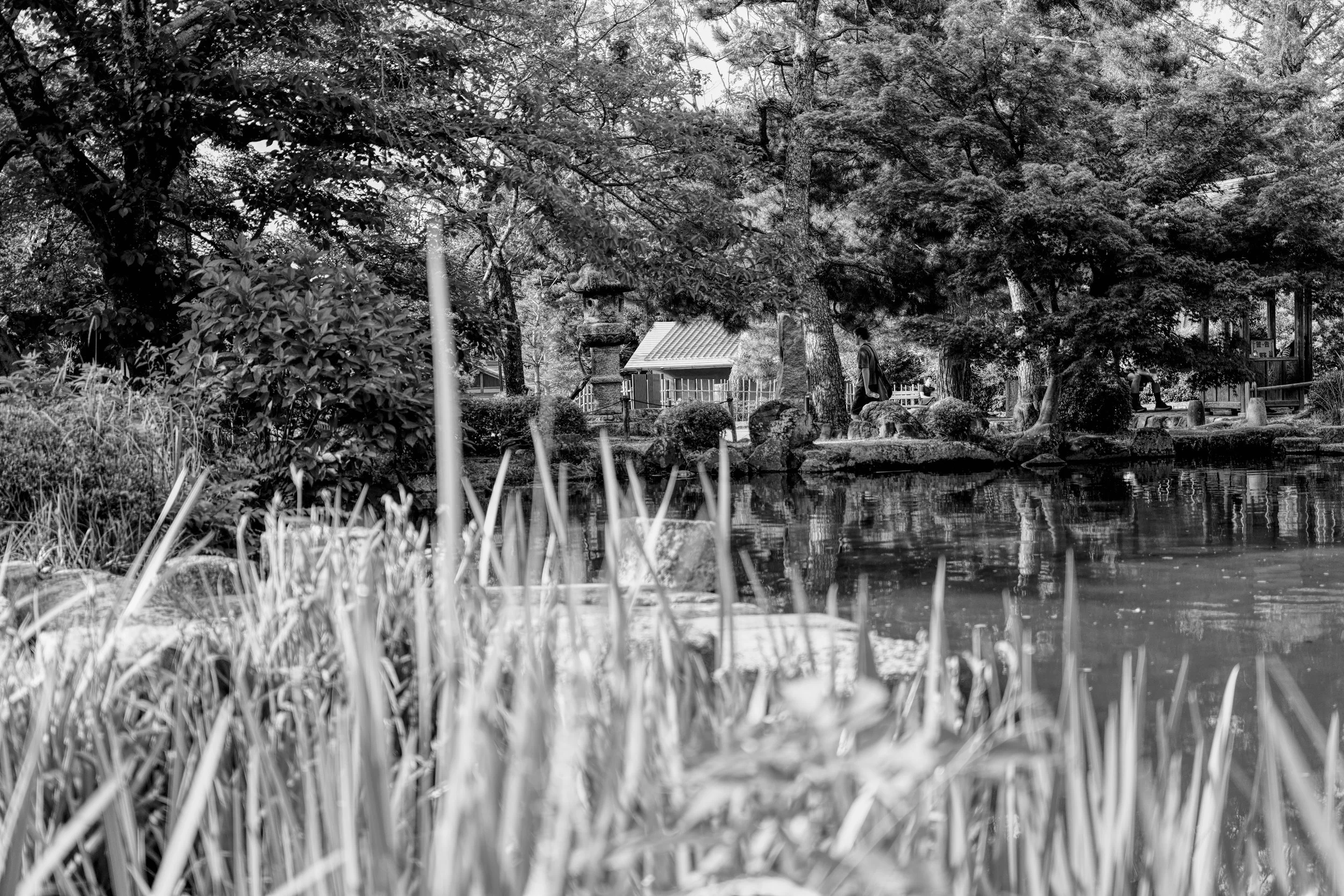 B&W_D1_KMaruyamaPark_A7V01531.jpg
