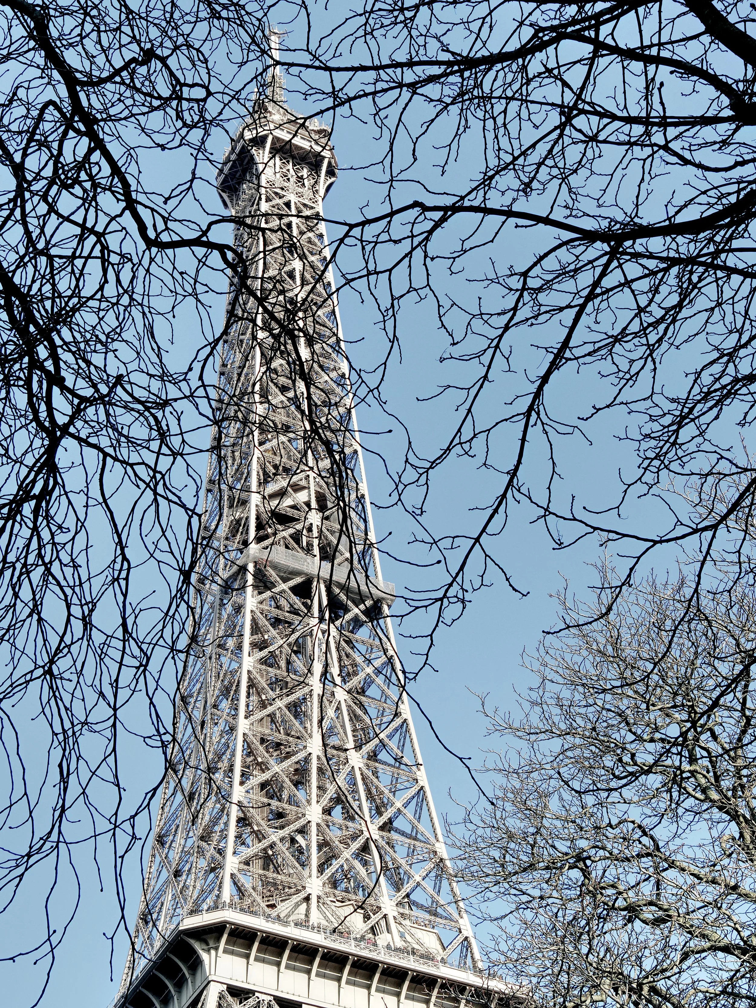 P1010672_EifelTower.jpg