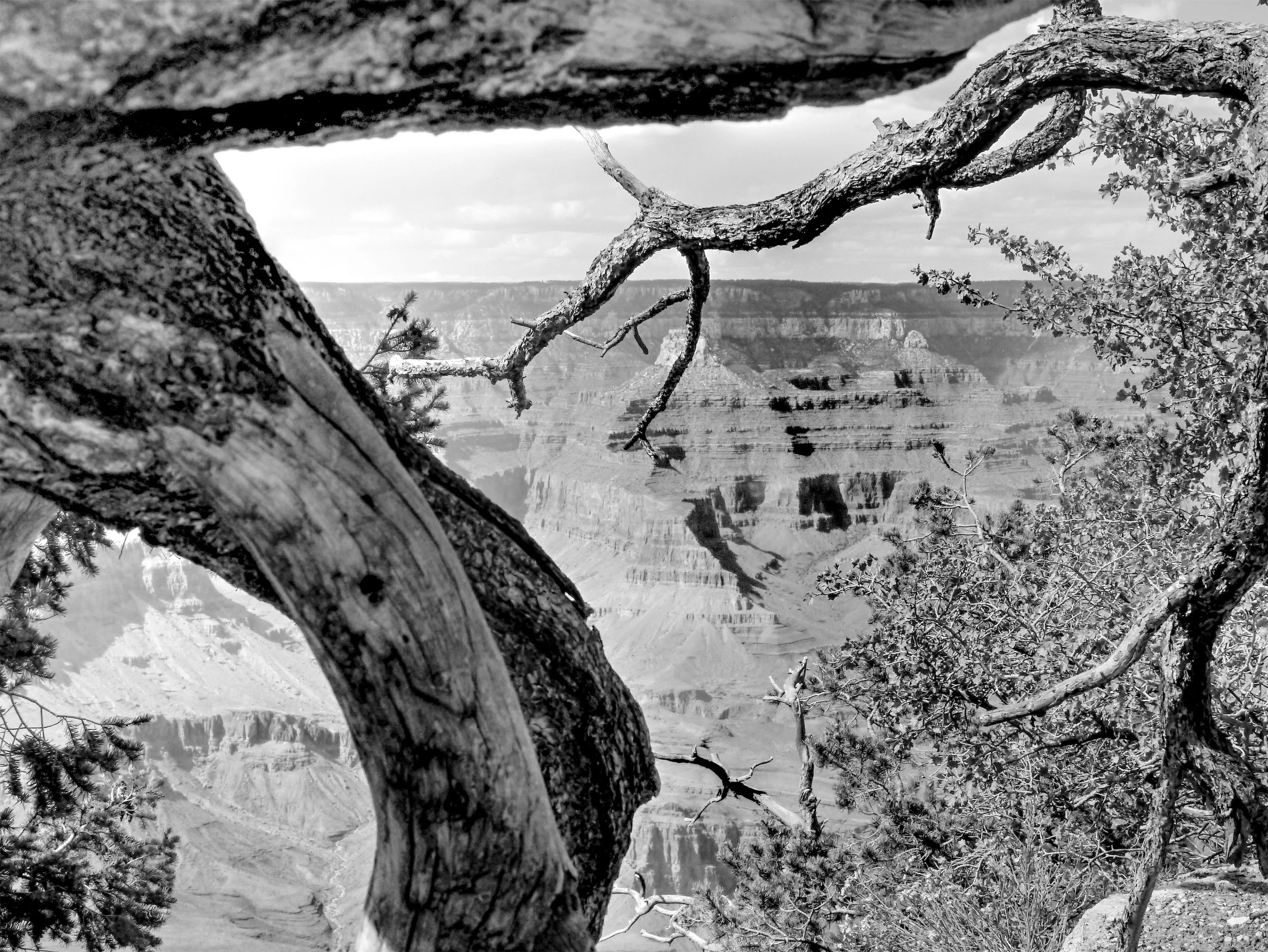 P1070341_B&WGrCanyon.jpg
