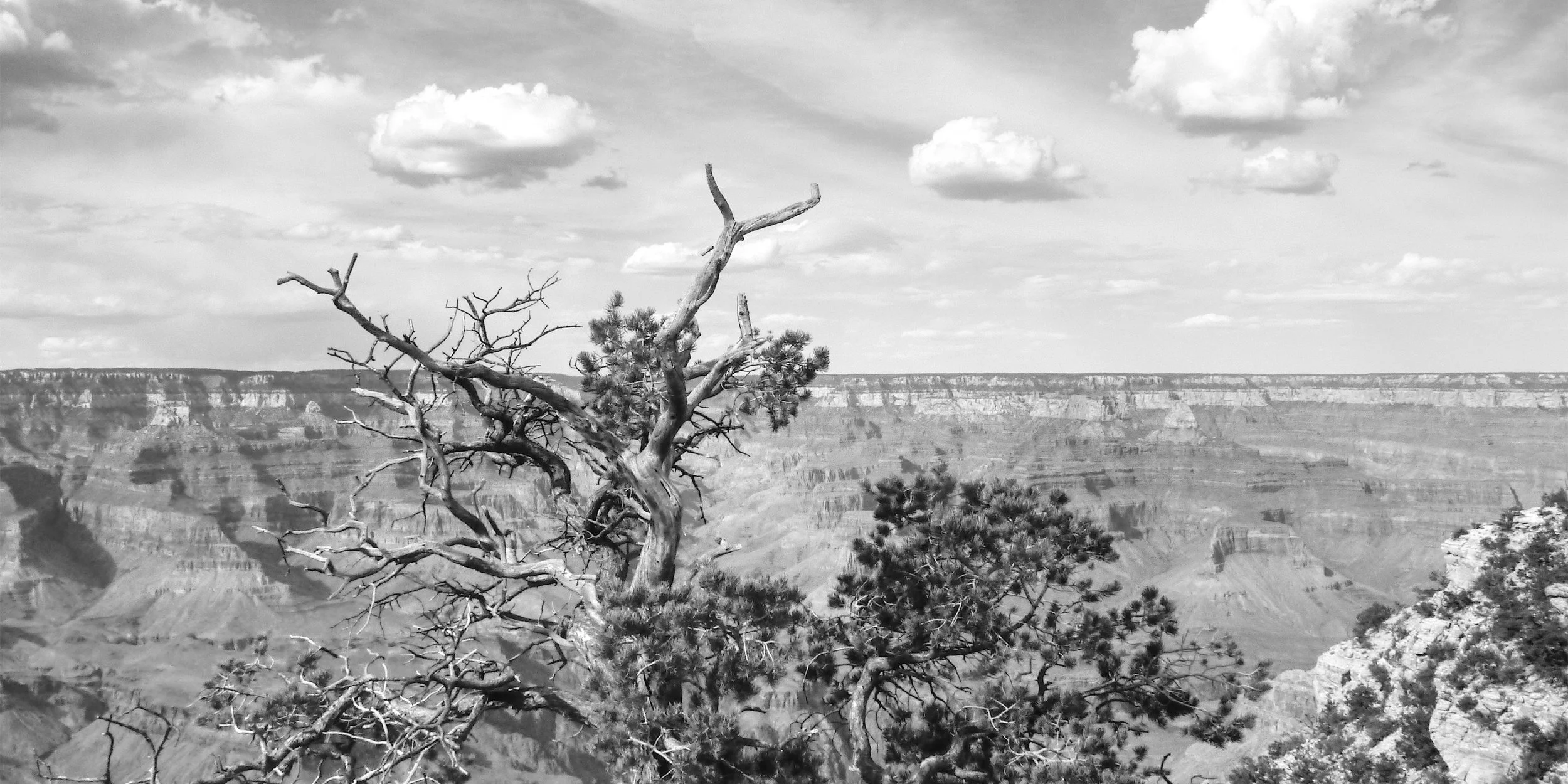 P1070355_B&WGrCanyon.jpg