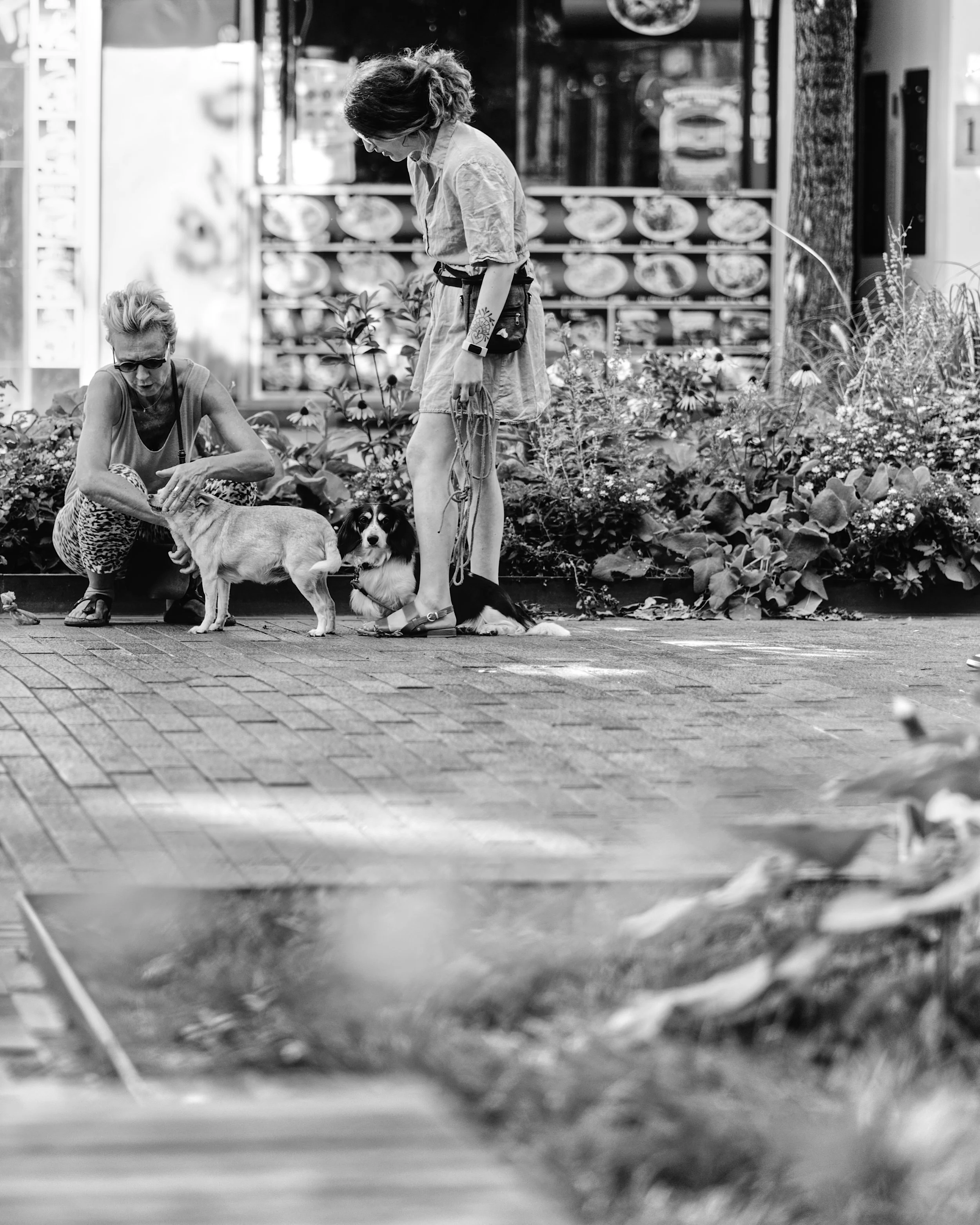 A7404446_BelgPeopleB&W.jpg