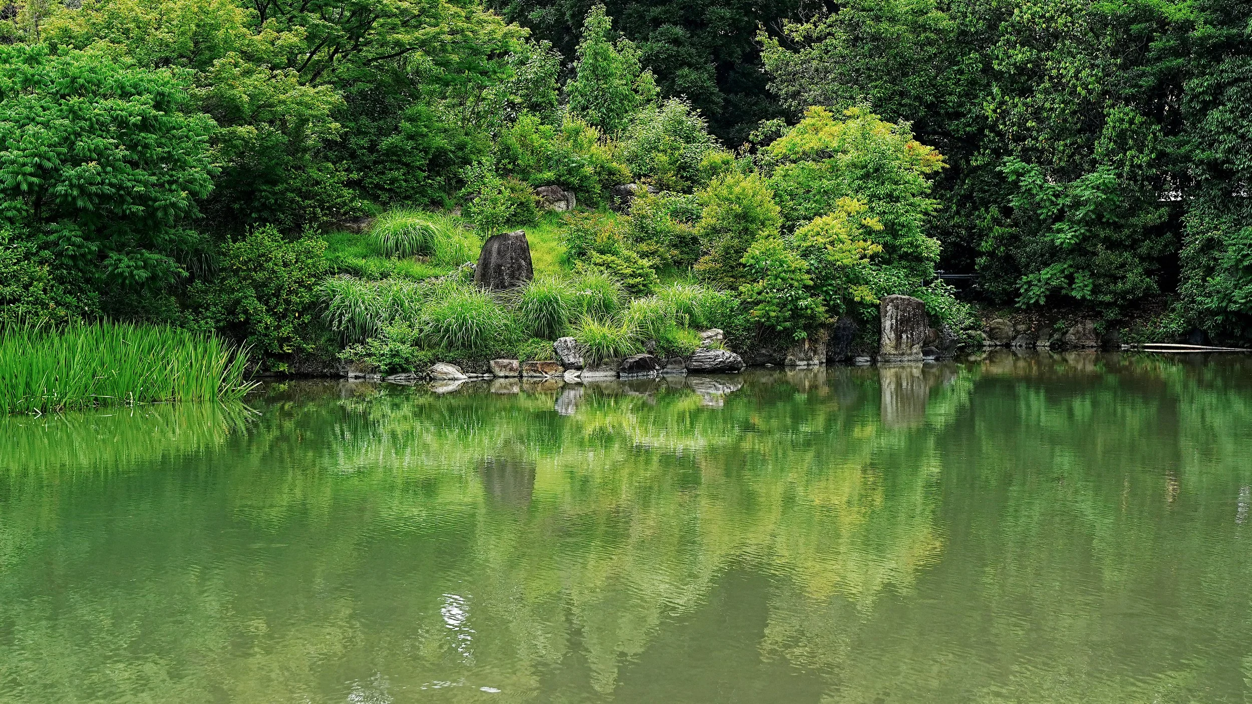D2_KShoseienGarden_A7V01656.jpg