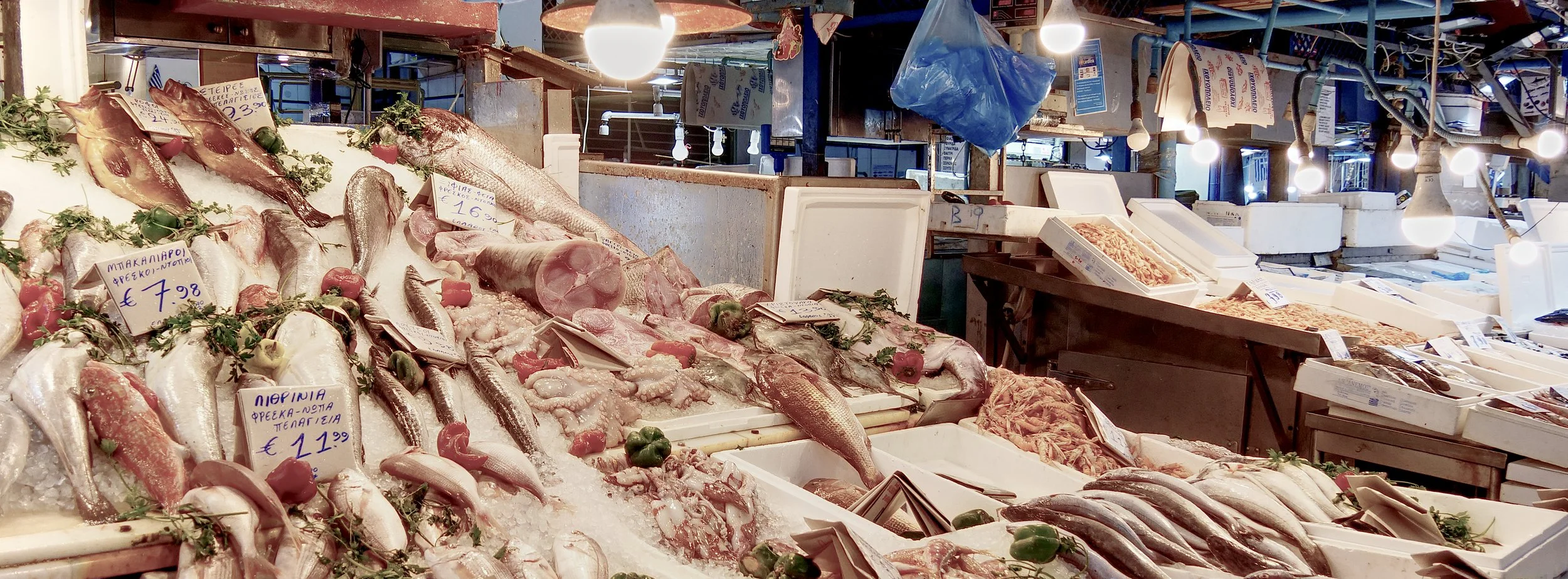 P1027400_FoodMarket.jpg