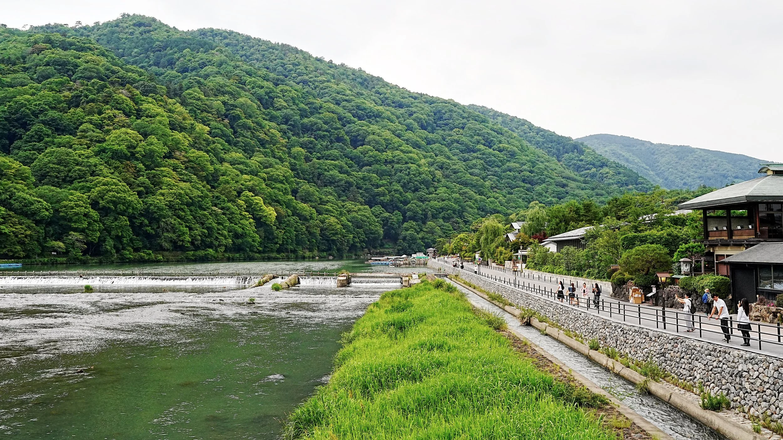 D2_KKatsuraRiver_A7V01839.jpg